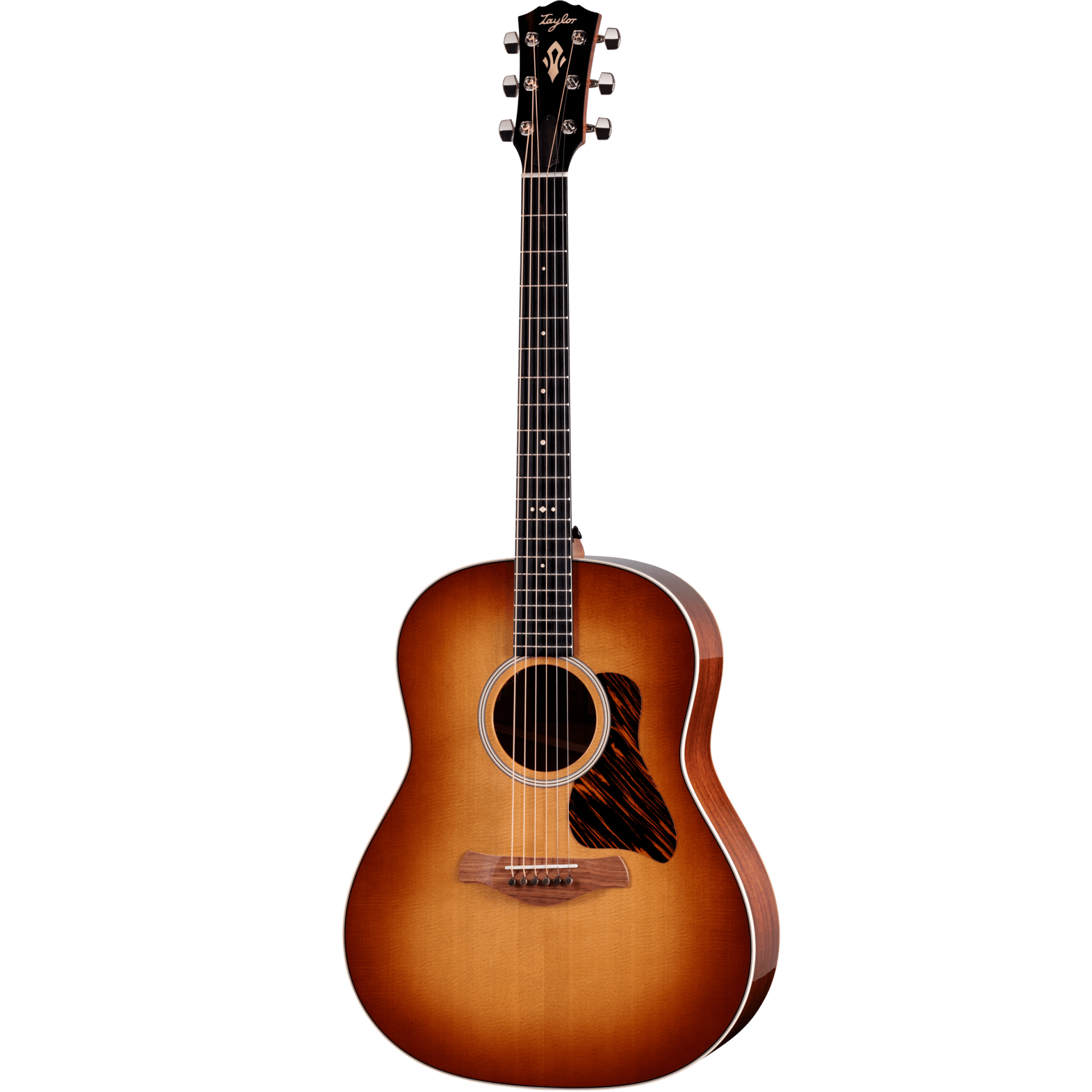 Đàn Guitar Taylor Gold Label 517e - Việt Music