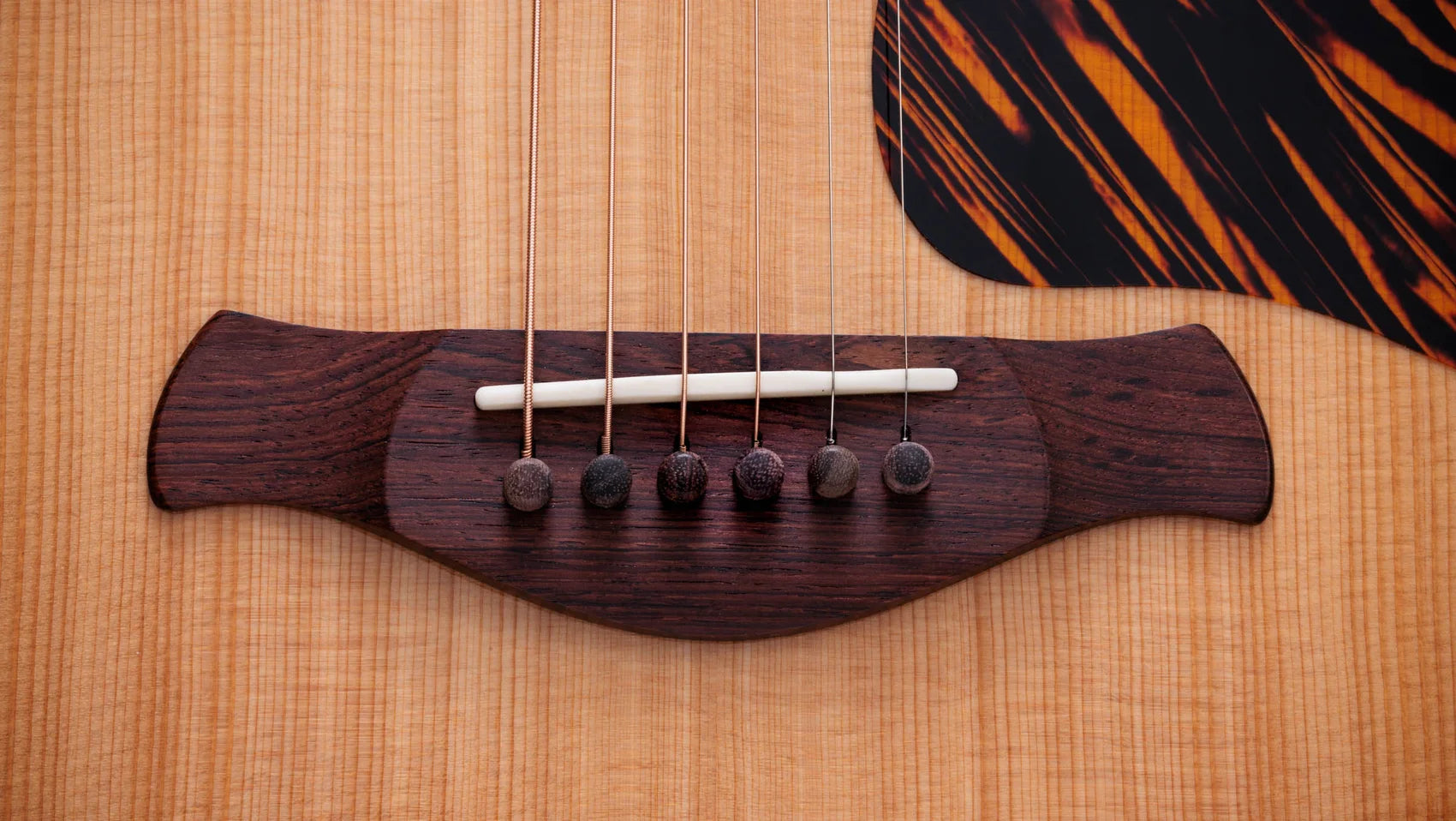 Đàn Guitar Acoustic Taylor Gold Label 717E - Việt Music