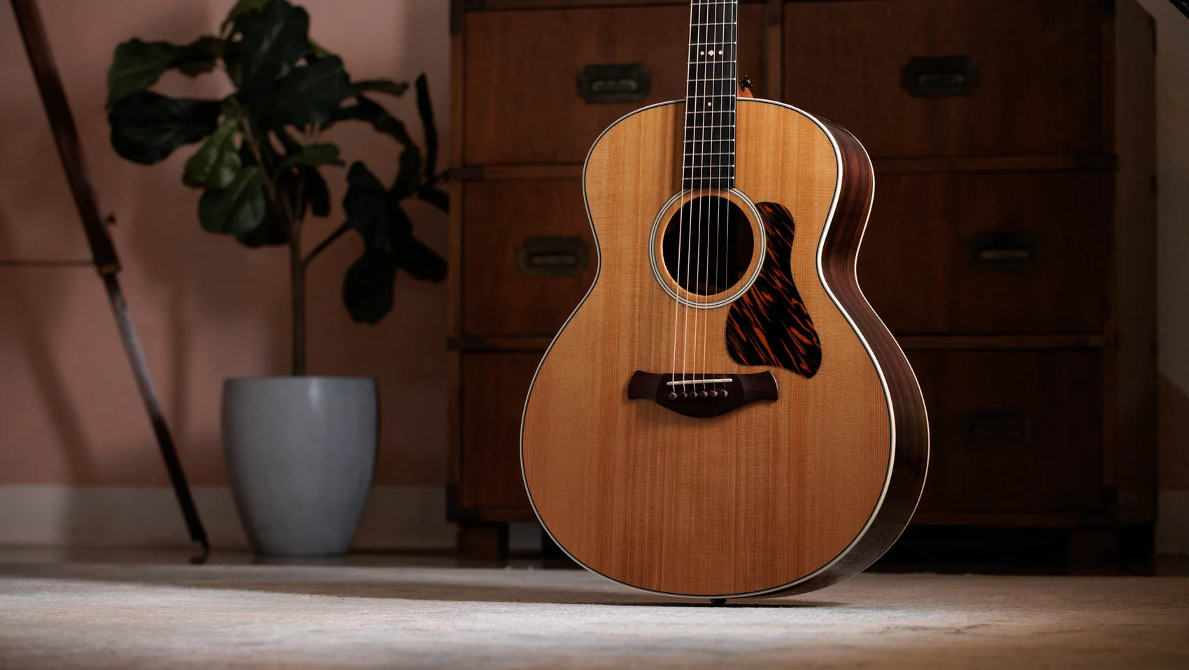 Đàn Guitar Acoustic Taylor Gold Label 717E - Việt Music