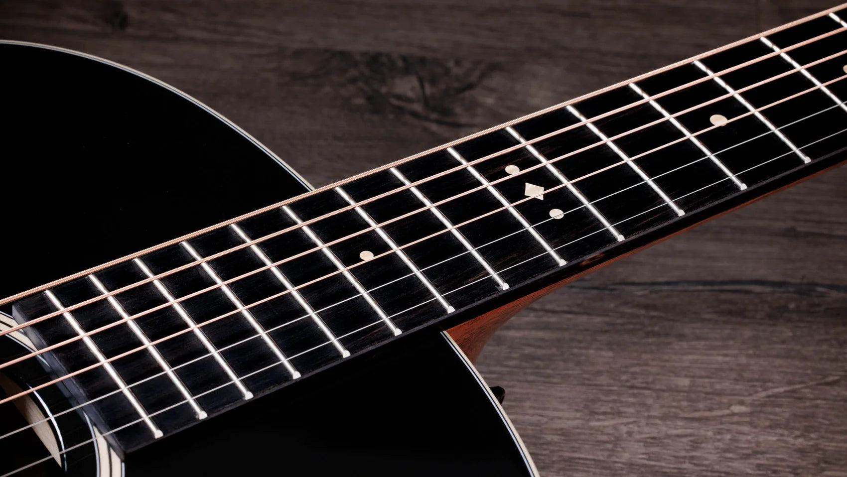 Đàn Guitar Acoustic Taylor Gold Label 717E - Việt Music