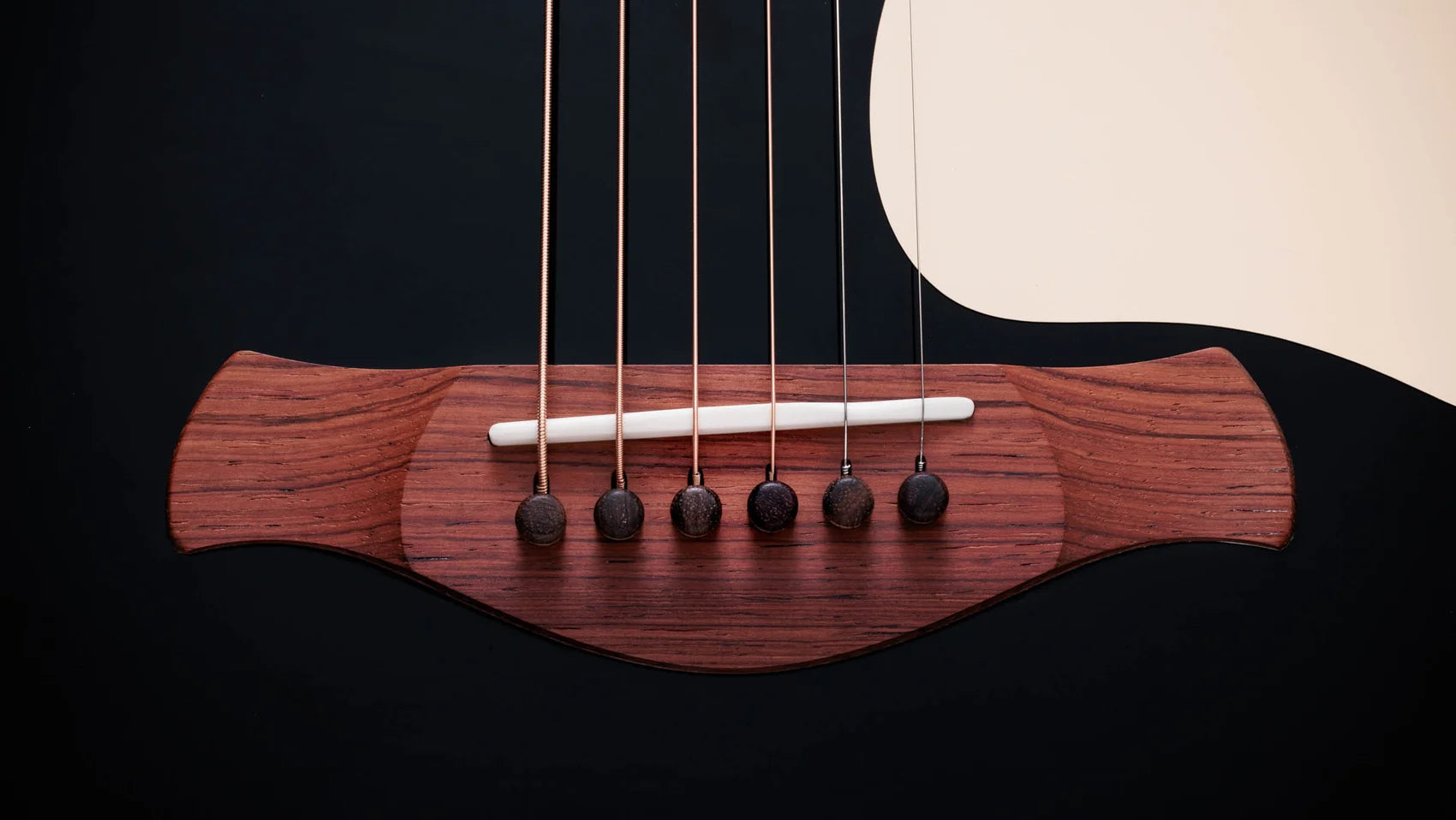 Đàn Guitar Acoustic Taylor Gold Label 717E - Việt Music