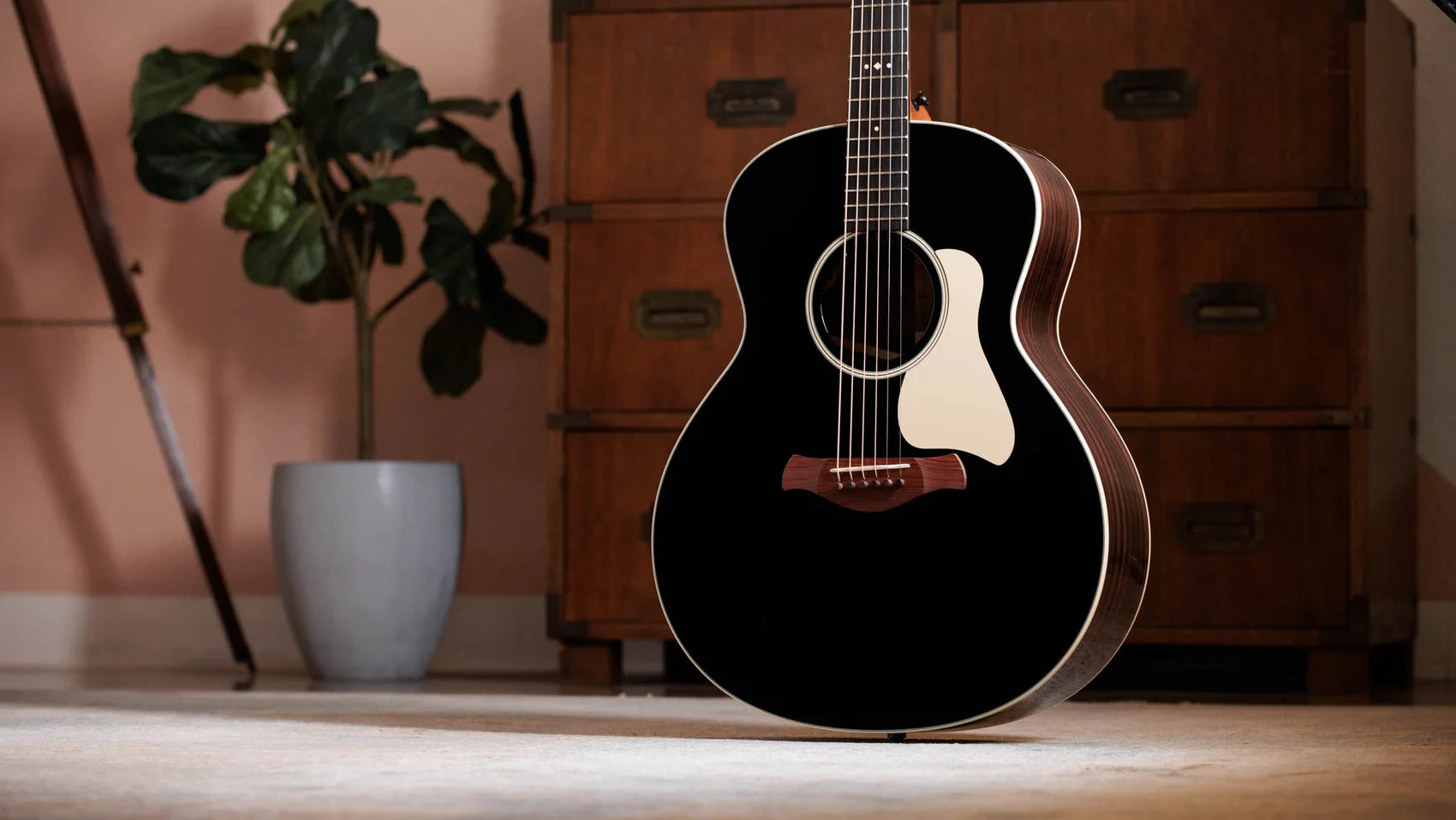 Đàn Guitar Acoustic Taylor Gold Label 717E - Việt Music