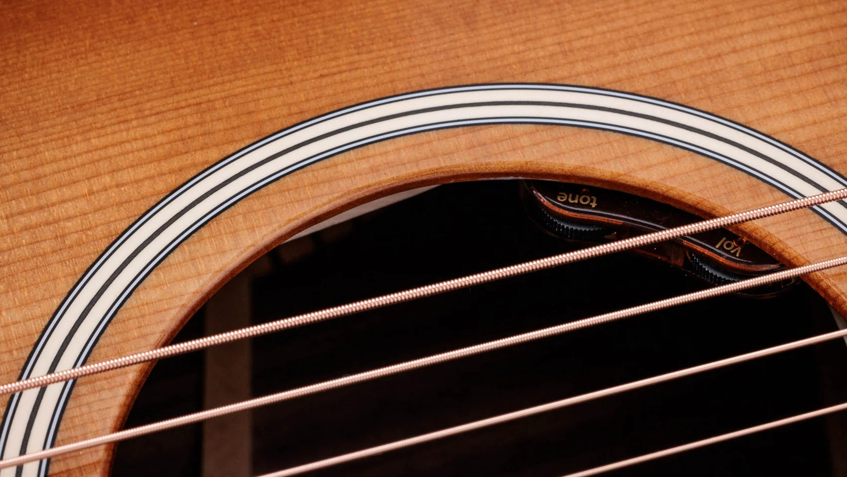 Đàn Guitar Acoustic Taylor Gold Label 717E - Việt Music