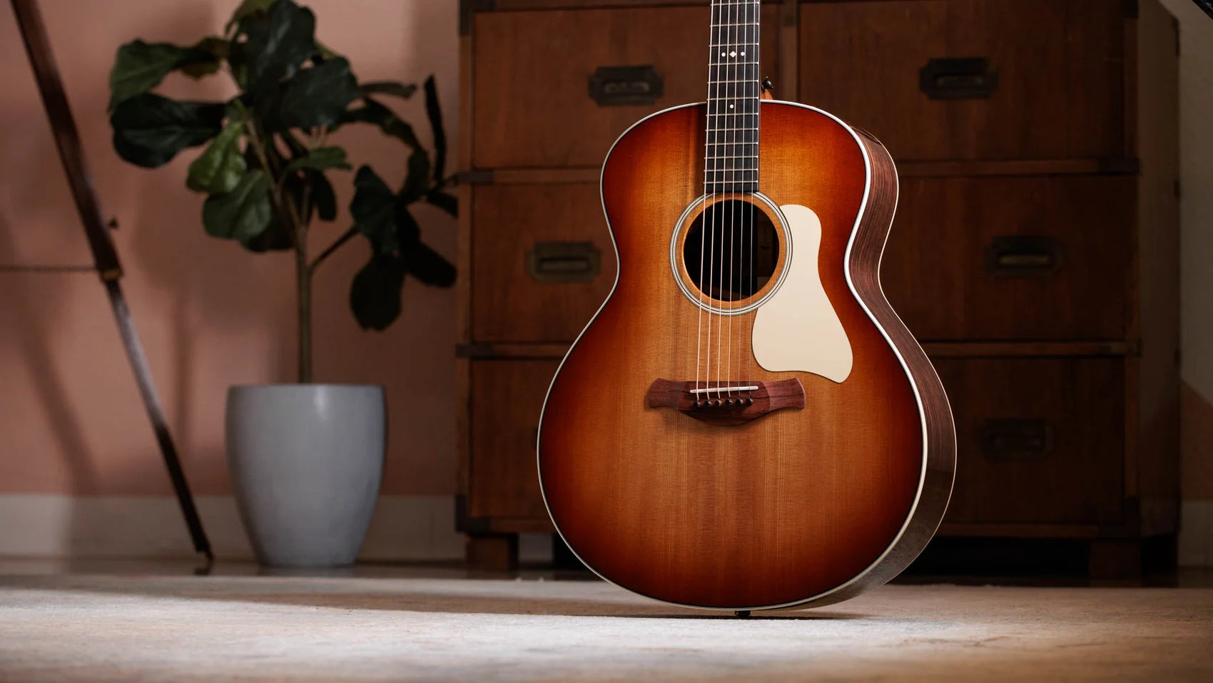 Đàn Guitar Acoustic Taylor Gold Label 717E - Việt Music