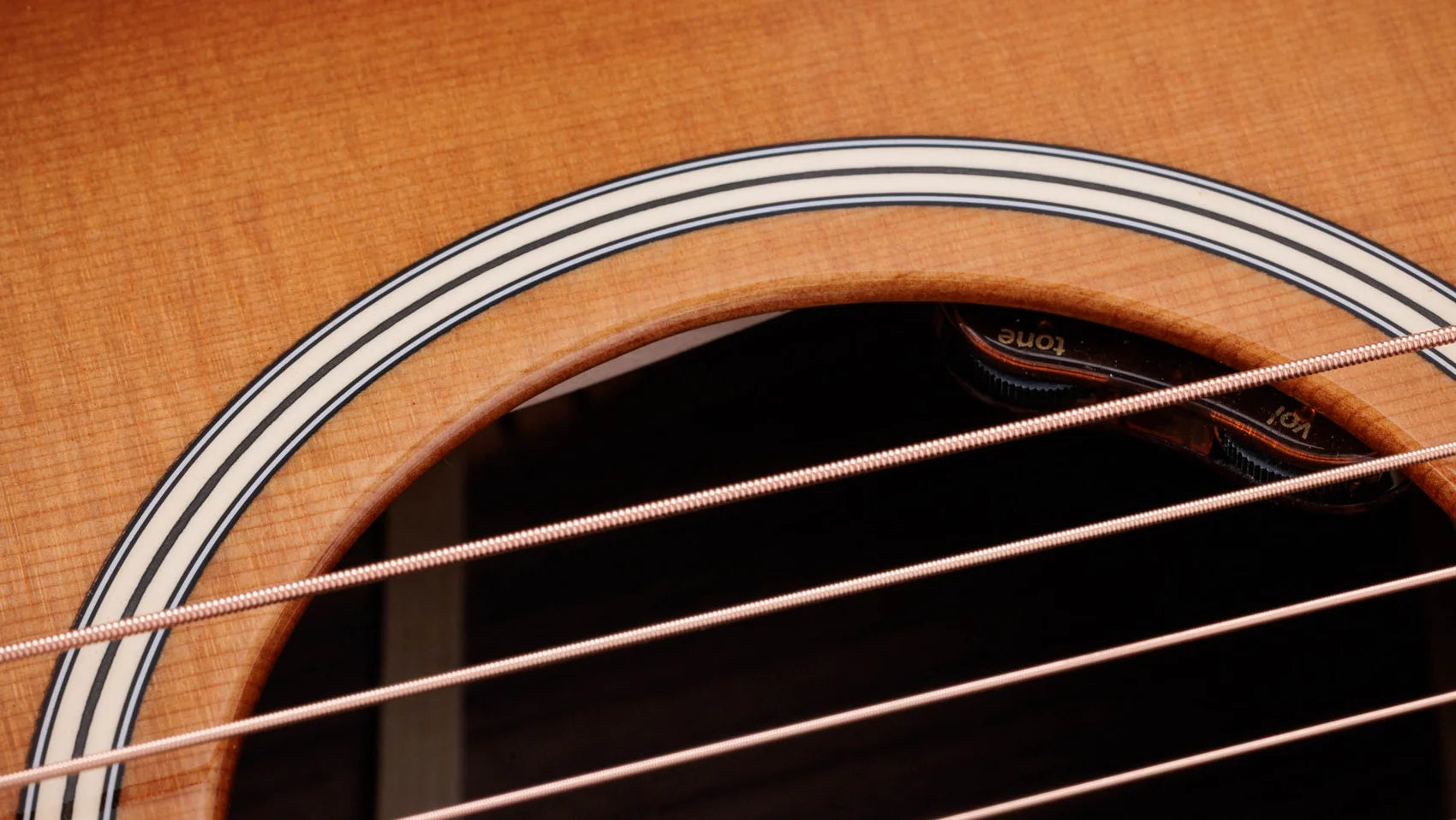 Đàn Guitar Acoustic Taylor Gold Label 717E - Việt Music