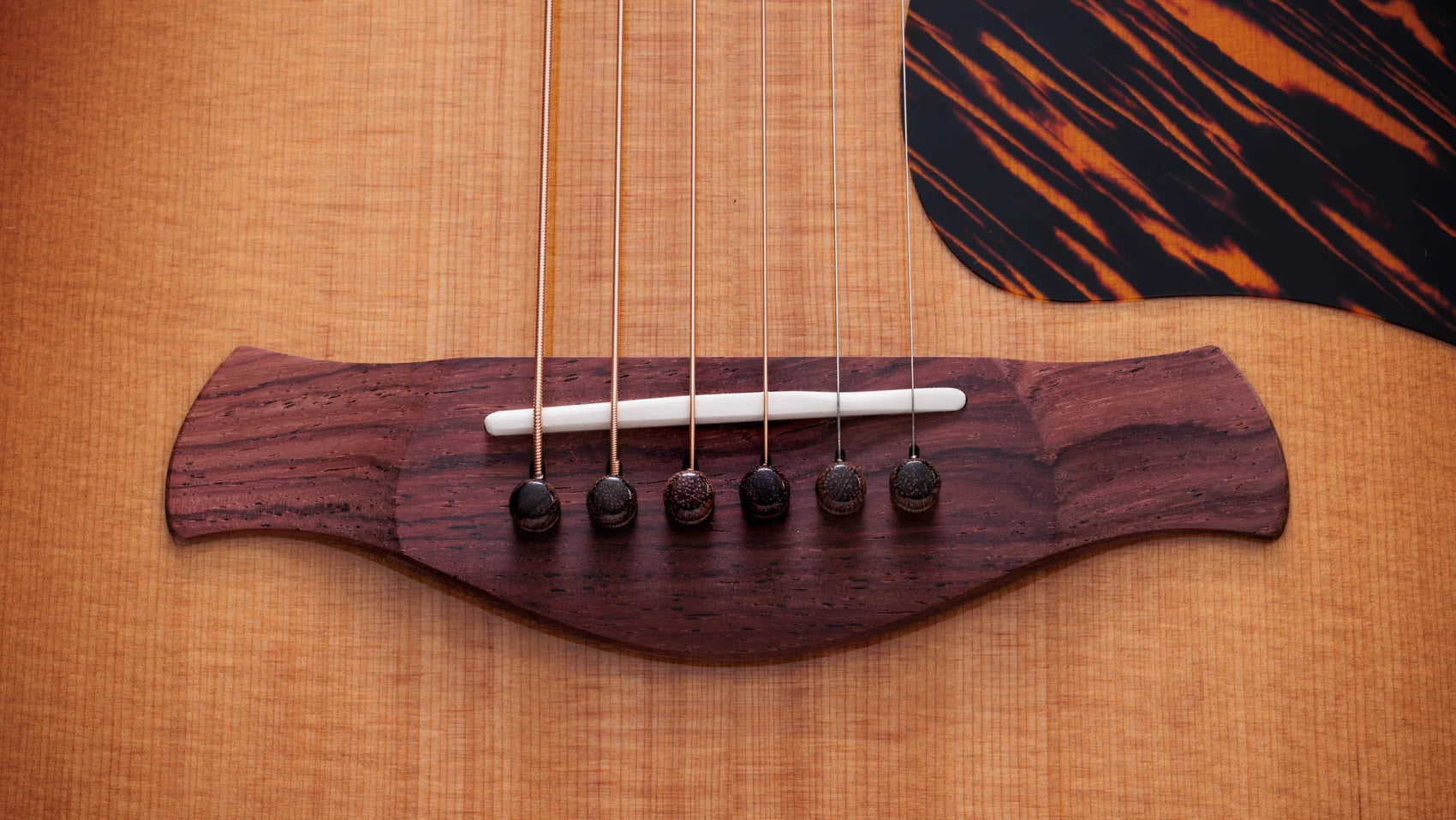 Đàn Guitar Acoustic Taylor Gold Label 717E - Việt Music