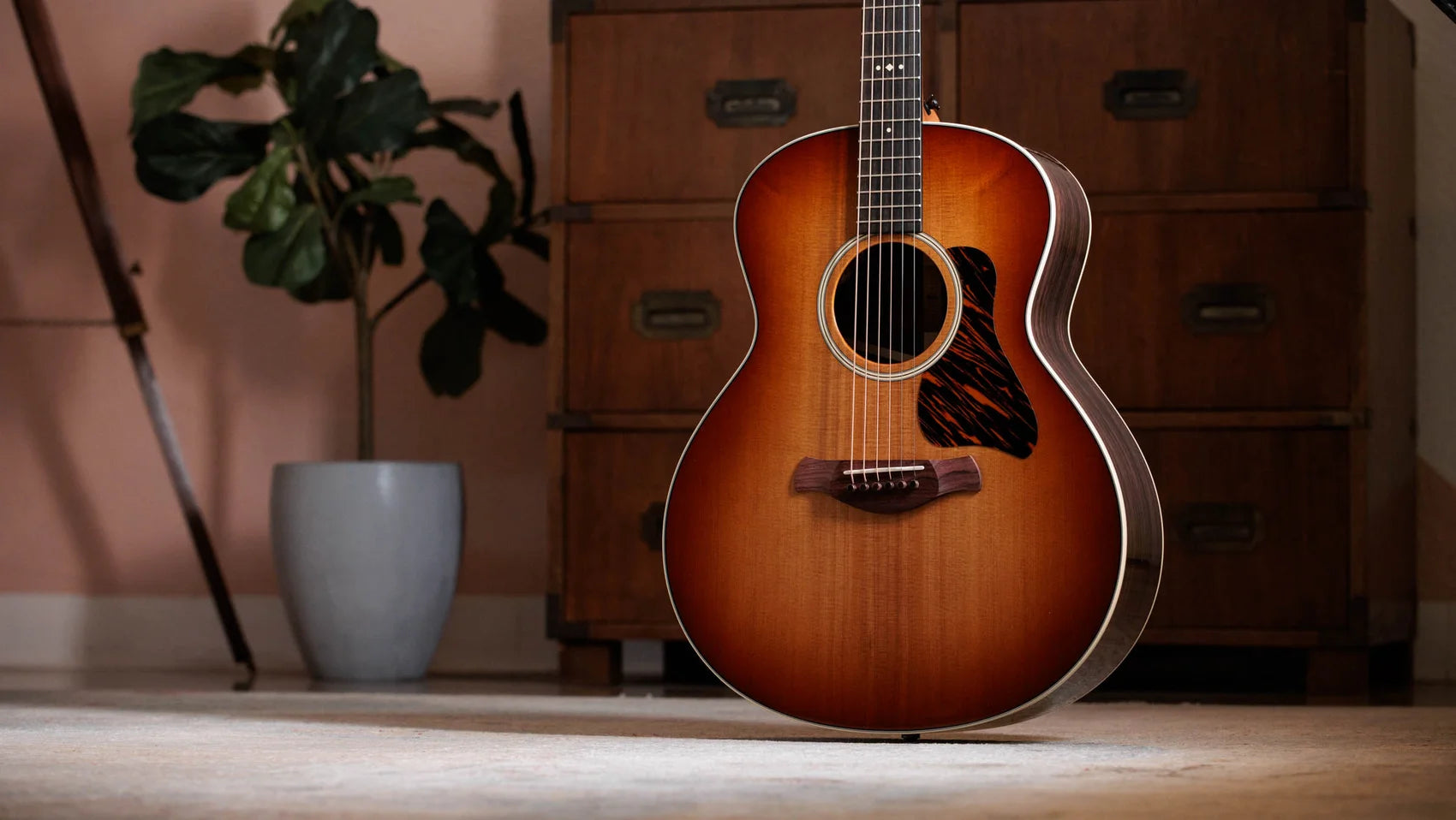 Đàn Guitar Acoustic Taylor Gold Label 717E - Việt Music