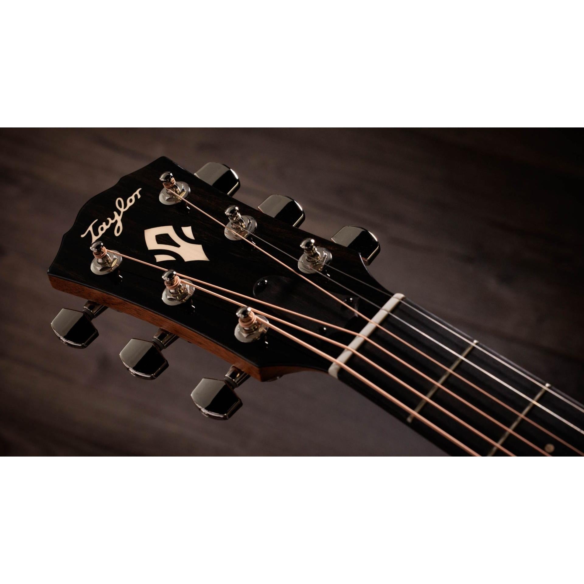 Đàn Guitar Acoustic Taylor Gold Label 717e - Việt Music