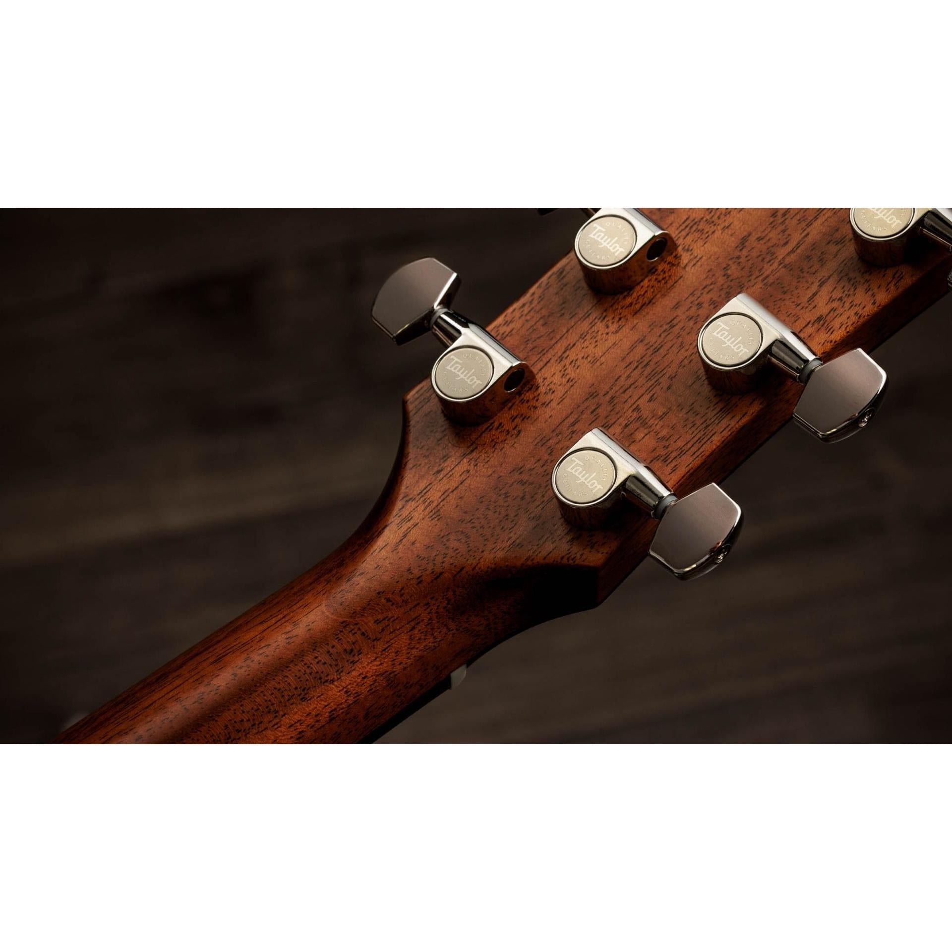 Đàn Guitar Acoustic Taylor Gold Label 717e - Việt Music
