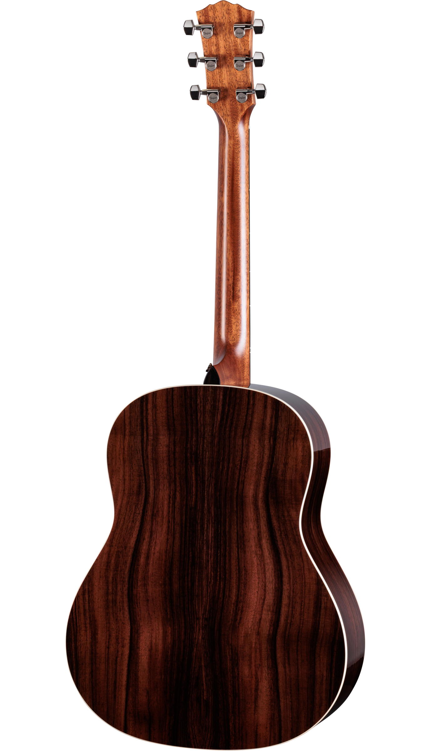 Đàn Guitar Acoustic Taylor Gold Label 717E - Việt Music