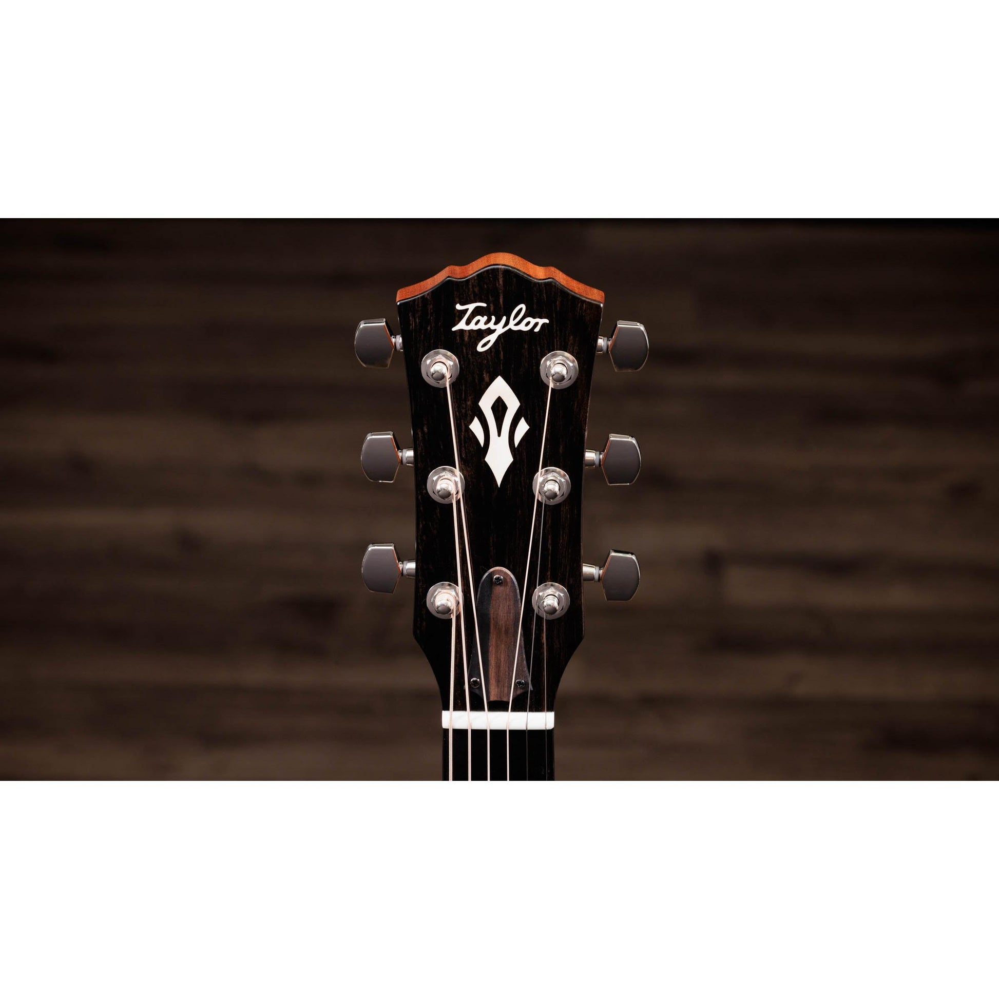 Đàn Guitar Acoustic Taylor Gold Label 717e SB - Việt Music