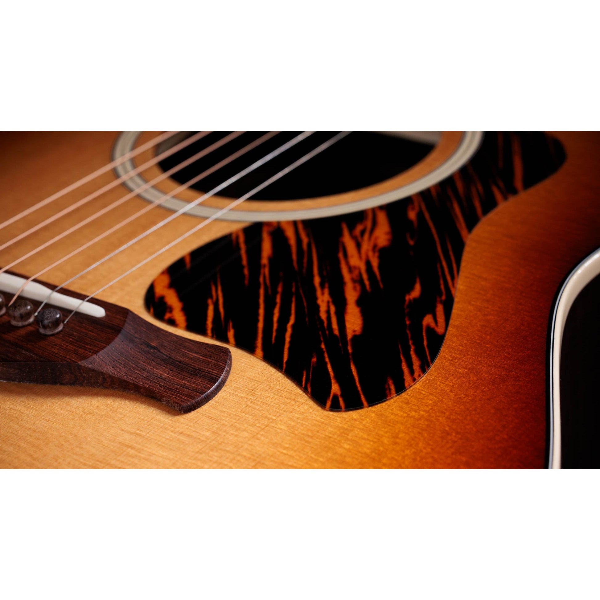 Đàn Guitar Acoustic Taylor Gold Label 717e SB - Việt Music