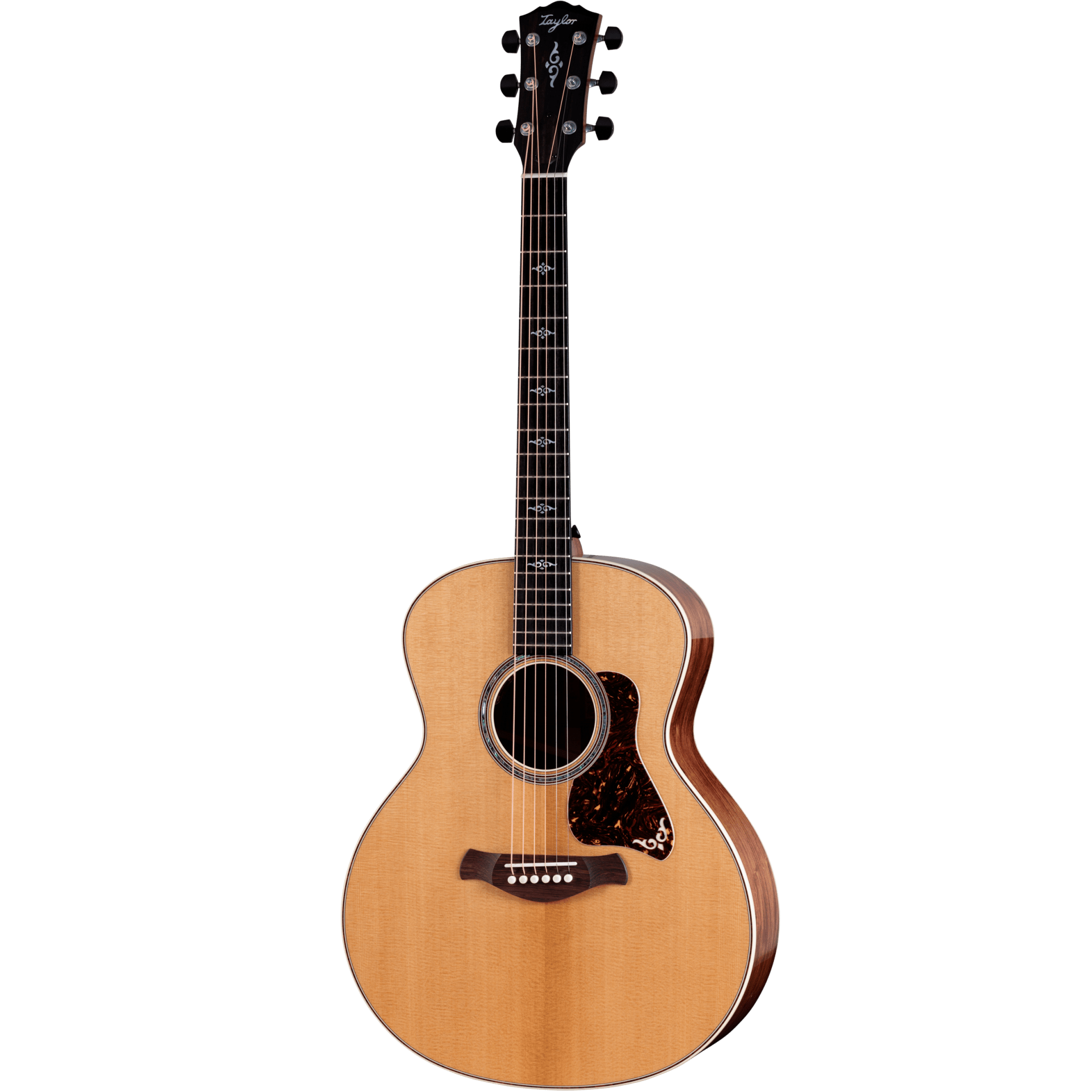 Đàn Guitar Taylor Gold Label 814E - Việt Music
