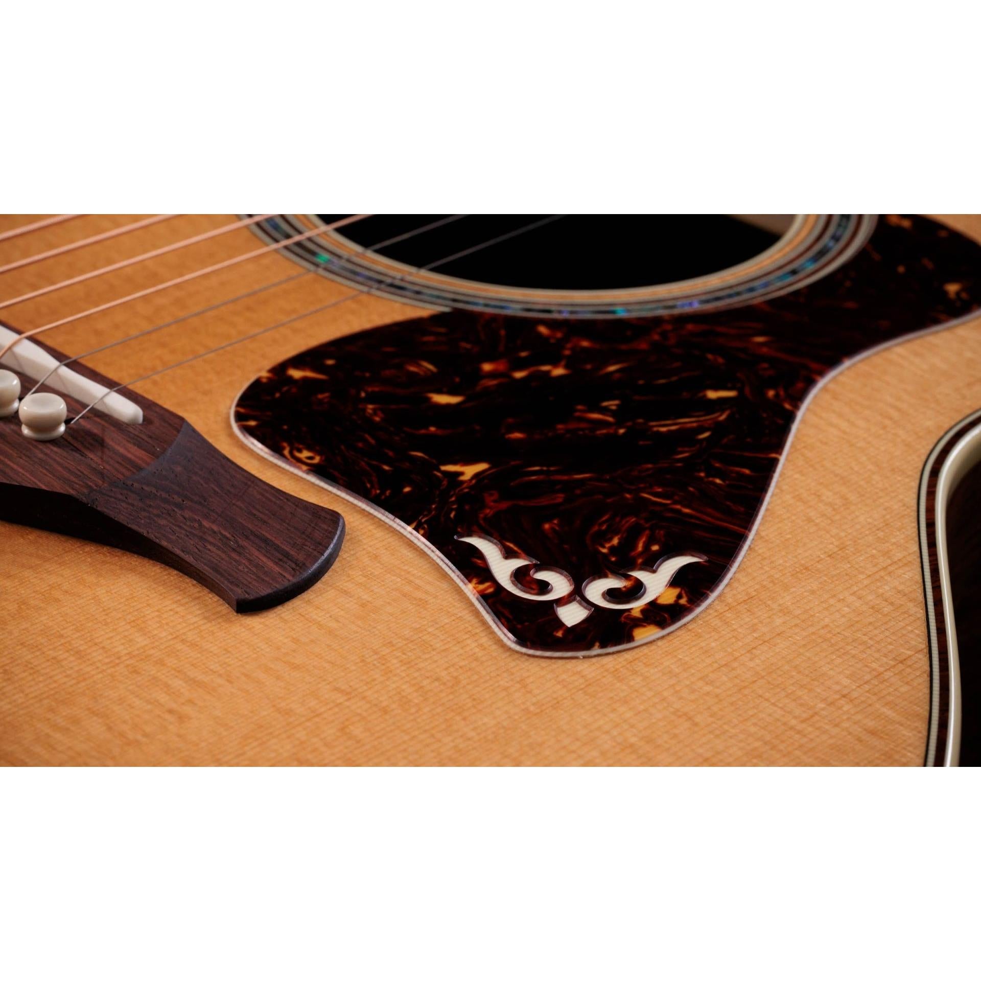 Đàn Guitar Taylor Gold Label 814E - Việt Music