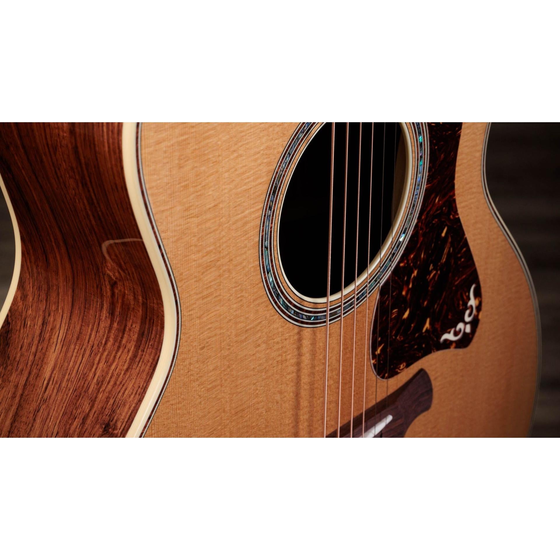 Đàn Guitar Taylor Gold Label 814E - Việt Music
