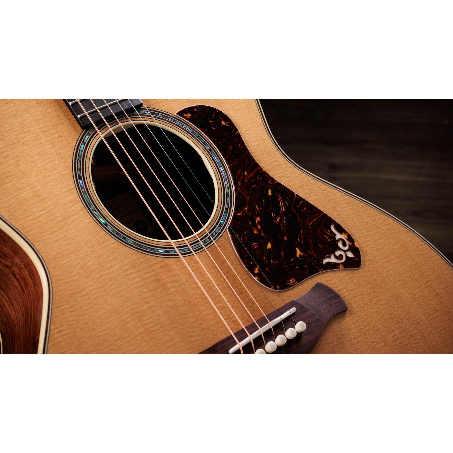 Đàn Guitar Taylor Gold Label 814E - Việt Music