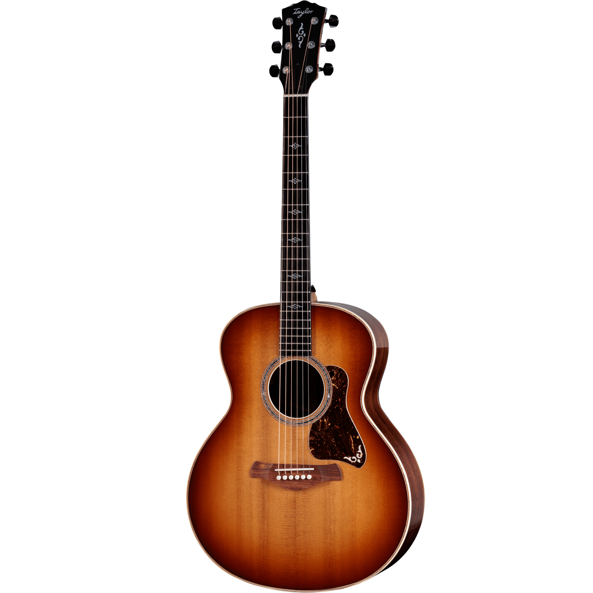 Đàn Guitar Taylor Gold Label 814E - Việt Music