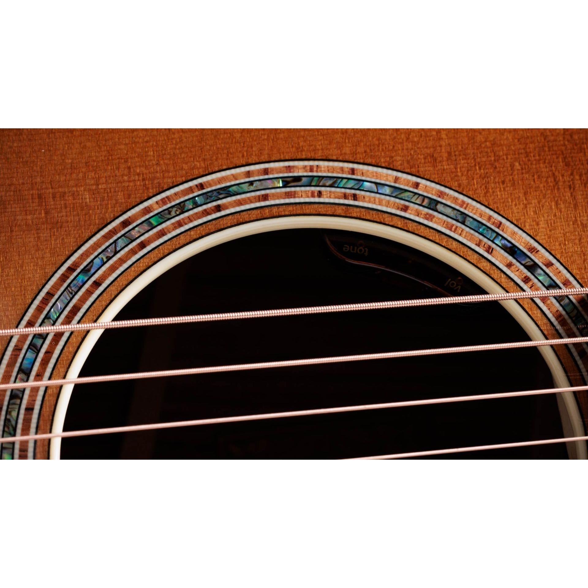 Đàn Guitar Taylor Gold Label 814E - Việt Music