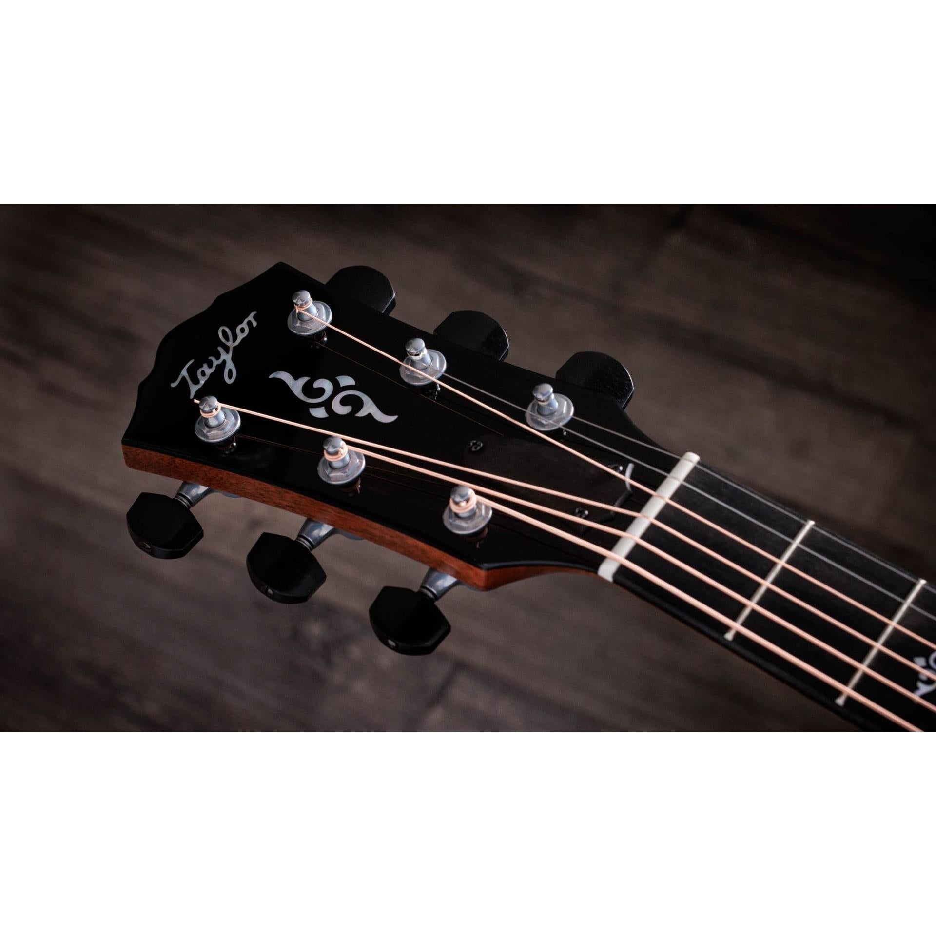Đàn Guitar Taylor Gold Label 814E - Việt Music