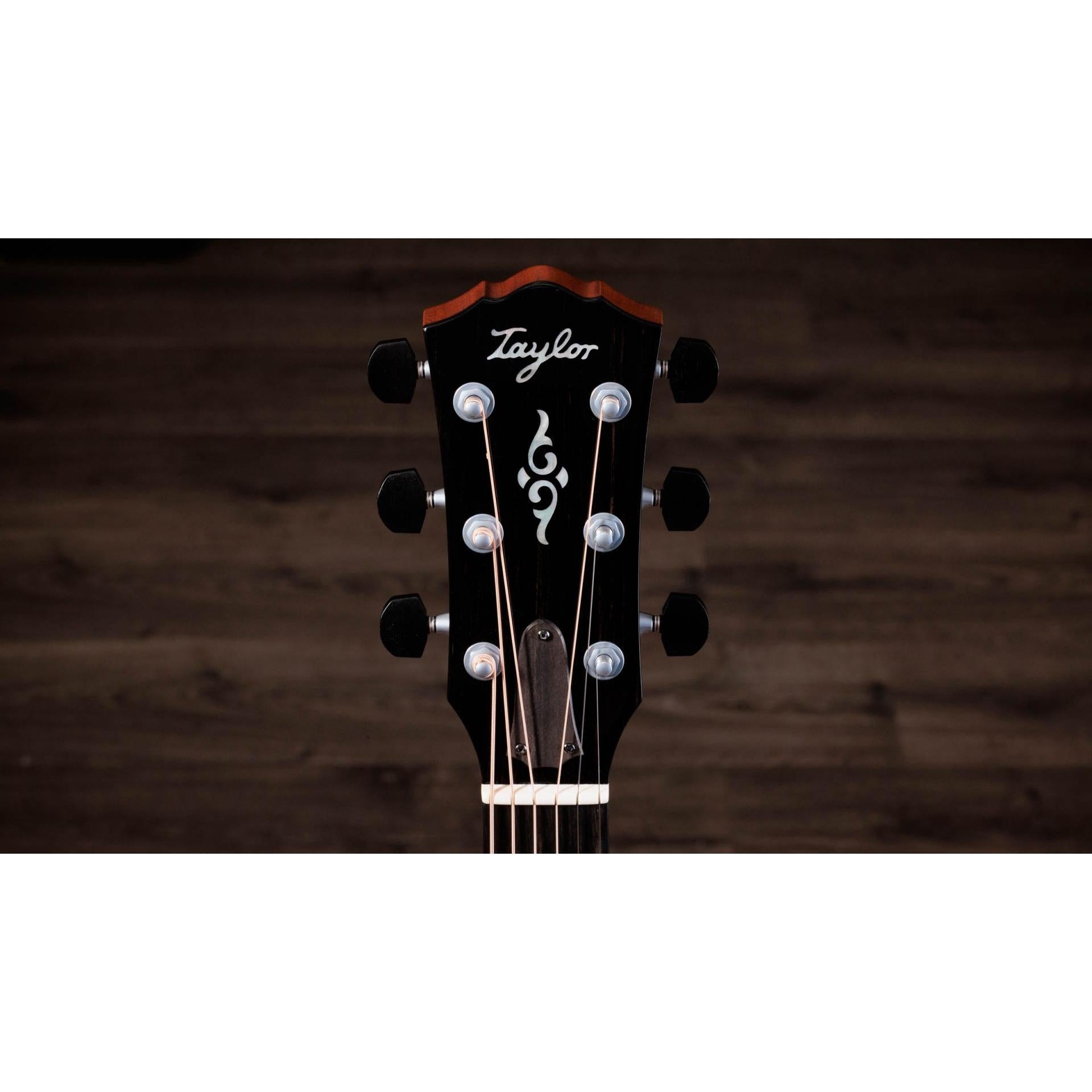 Đàn Guitar Taylor Gold Label 814E - Việt Music