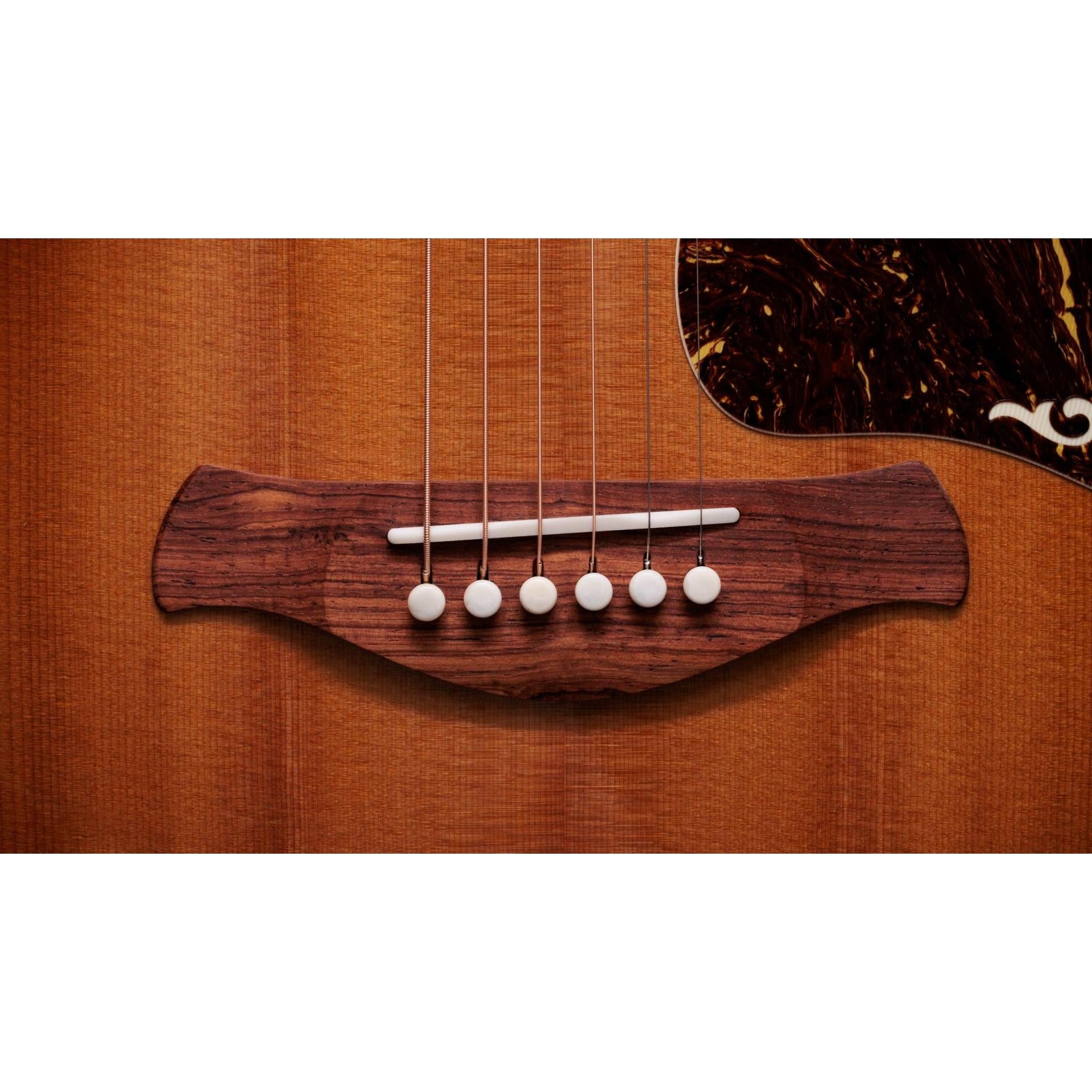 Đàn Guitar Taylor Gold Label 814E - Việt Music