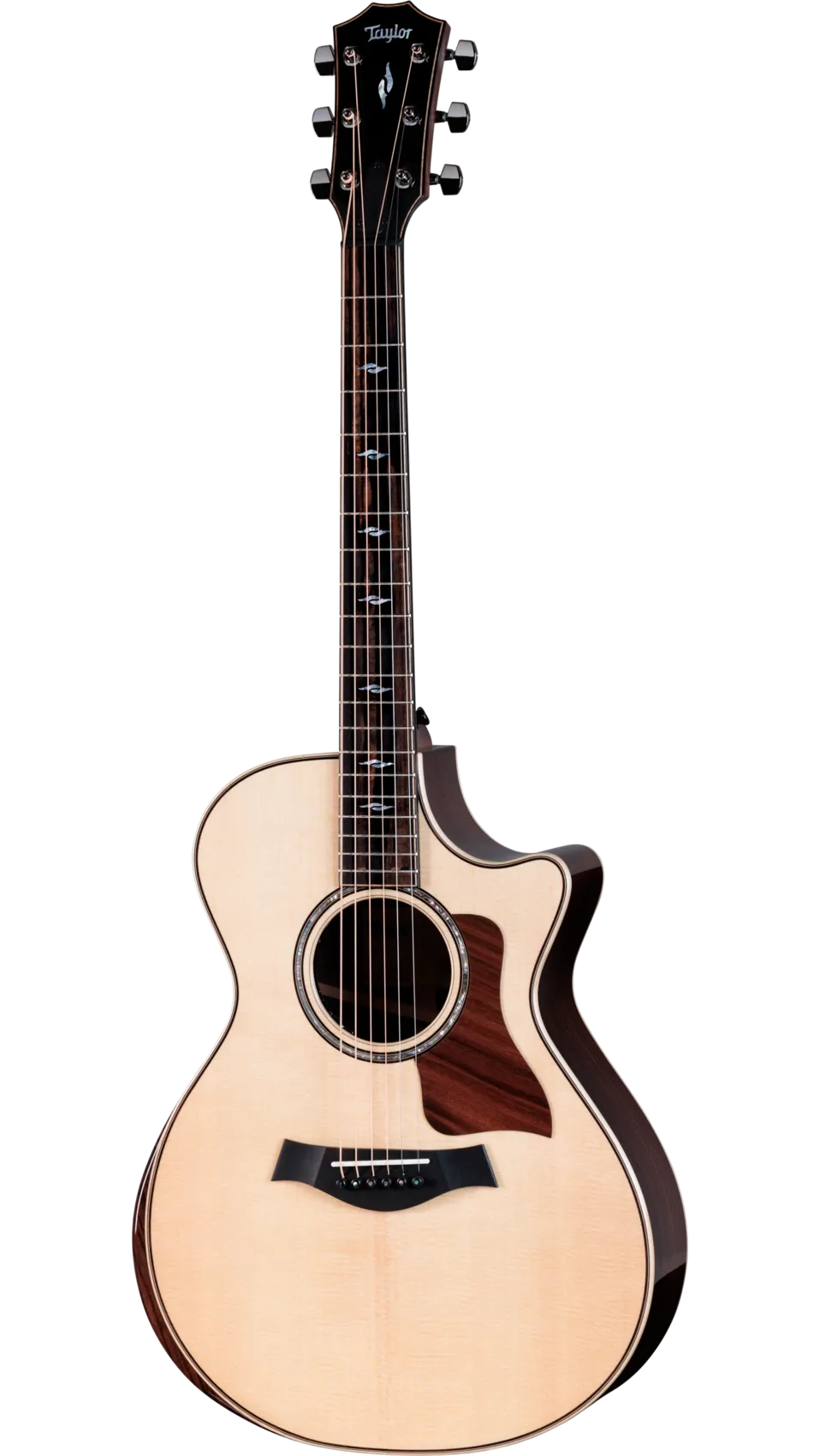 Đàn Guitar Acoustic Taylor Next Generation 812ce - Việt Music
