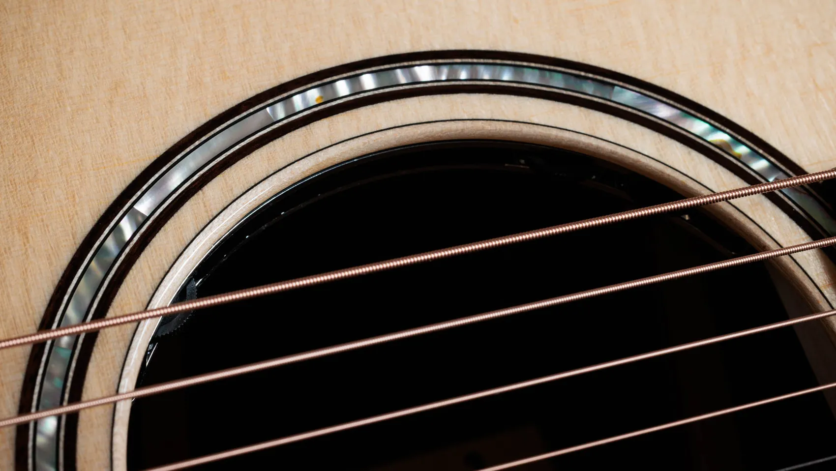 Đàn Guitar Acoustic Taylor Next Generation 812ce - Việt Music