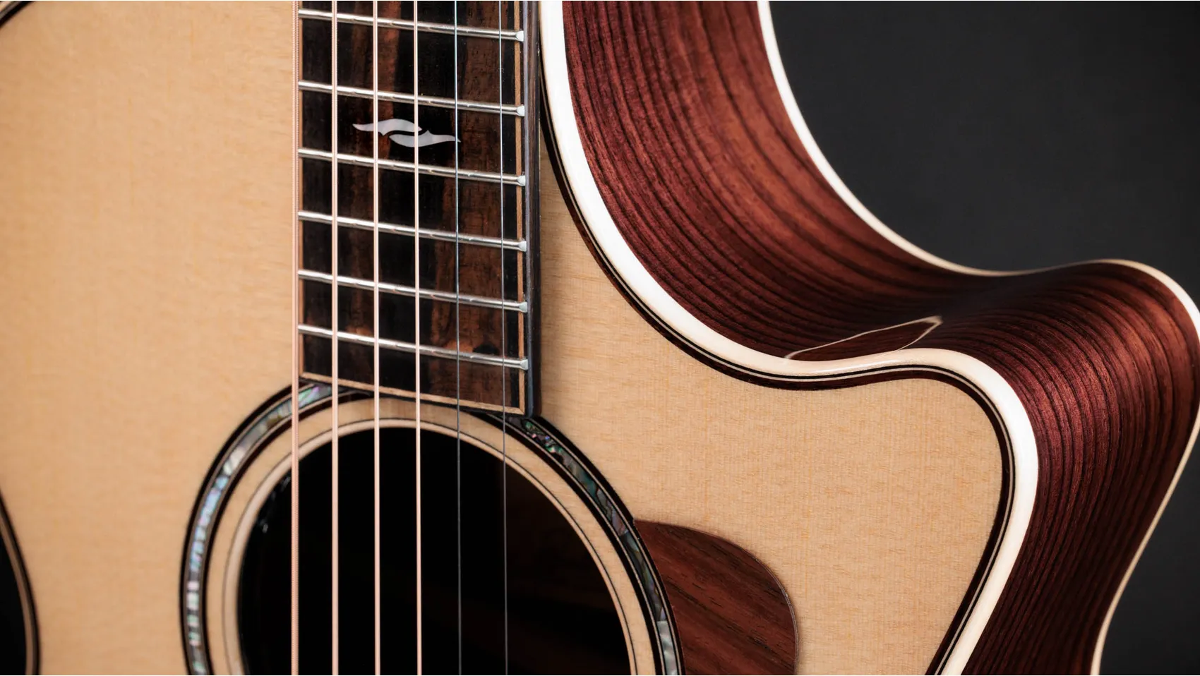 Đàn Guitar Acoustic Taylor Next Generation 812ce - Việt Music