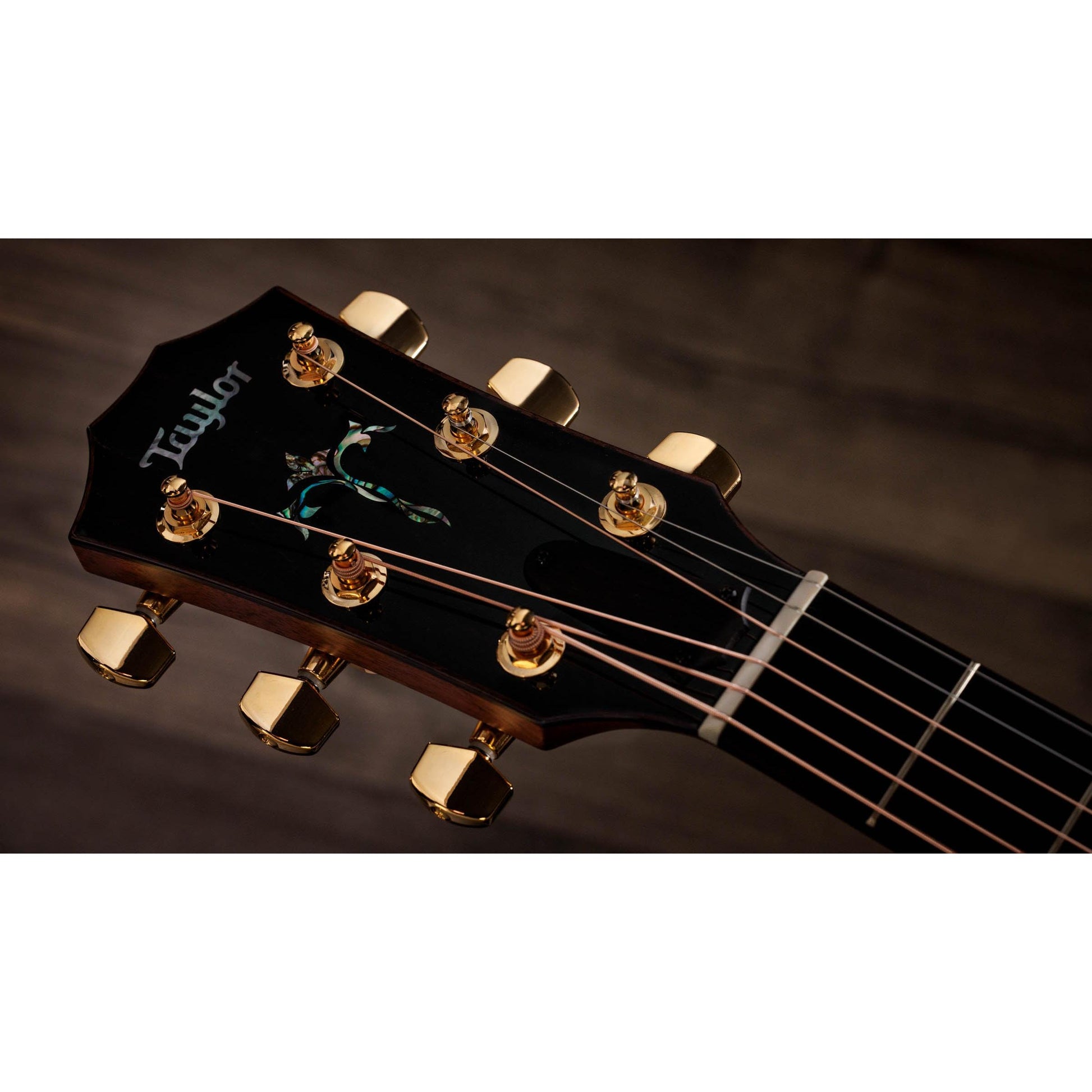 Đàn Guitar Acoustic Taylor 914ce Legacy - Việt Music