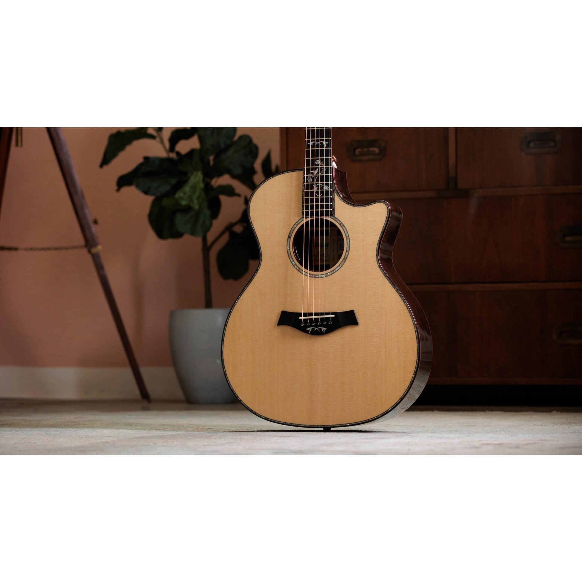 Đàn Guitar Acoustic Taylor 914ce Legacy - Việt Music