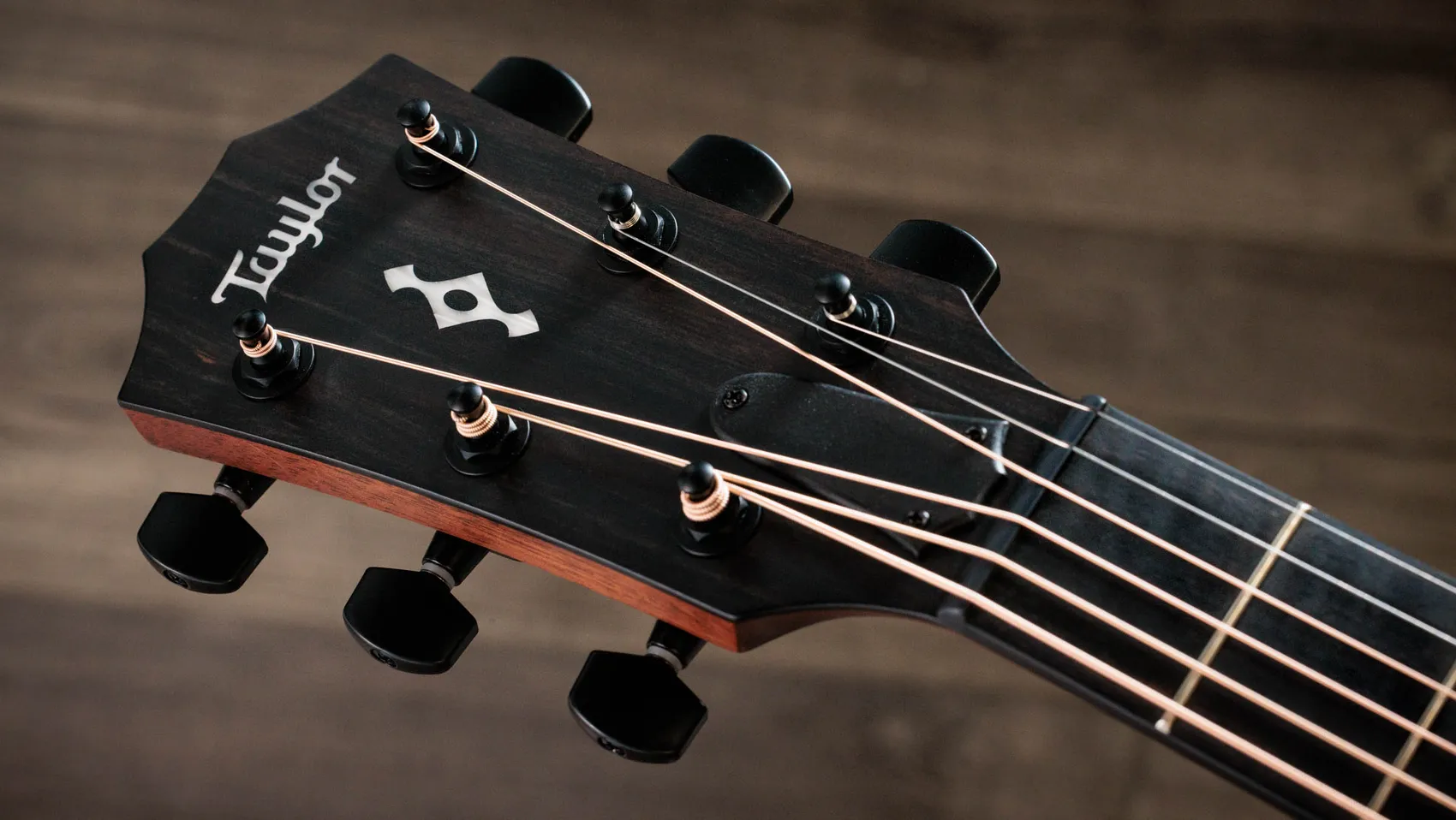 Đàn Guitar Acoustic Taylor Next Generation 322ce - Việt Music