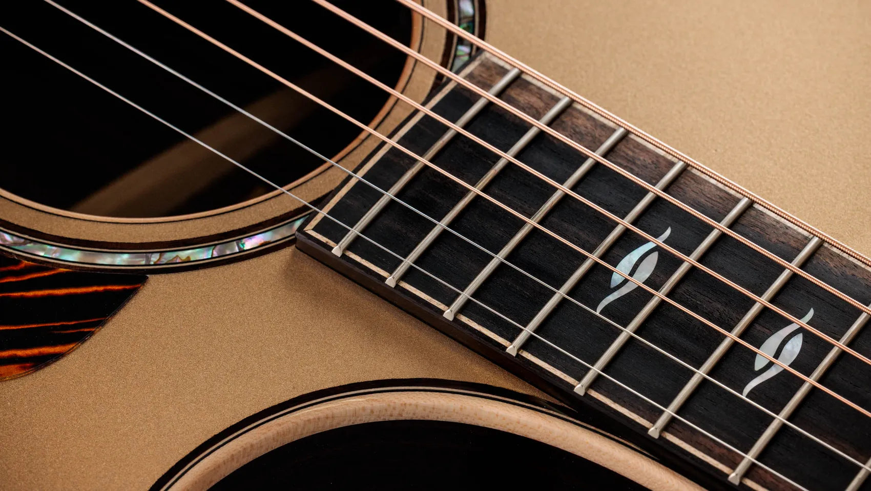 Đàn Guitar Acoustic Taylor Next Generation 814CE LTD - Việt Music