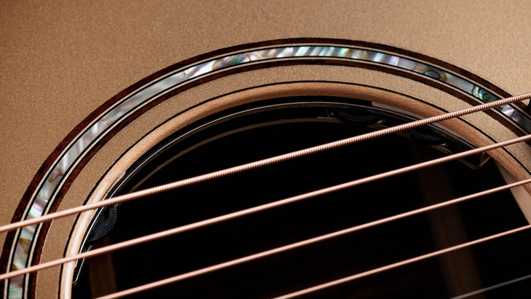 Đàn Guitar Acoustic Taylor Next Generation 814CE LTD - Việt Music