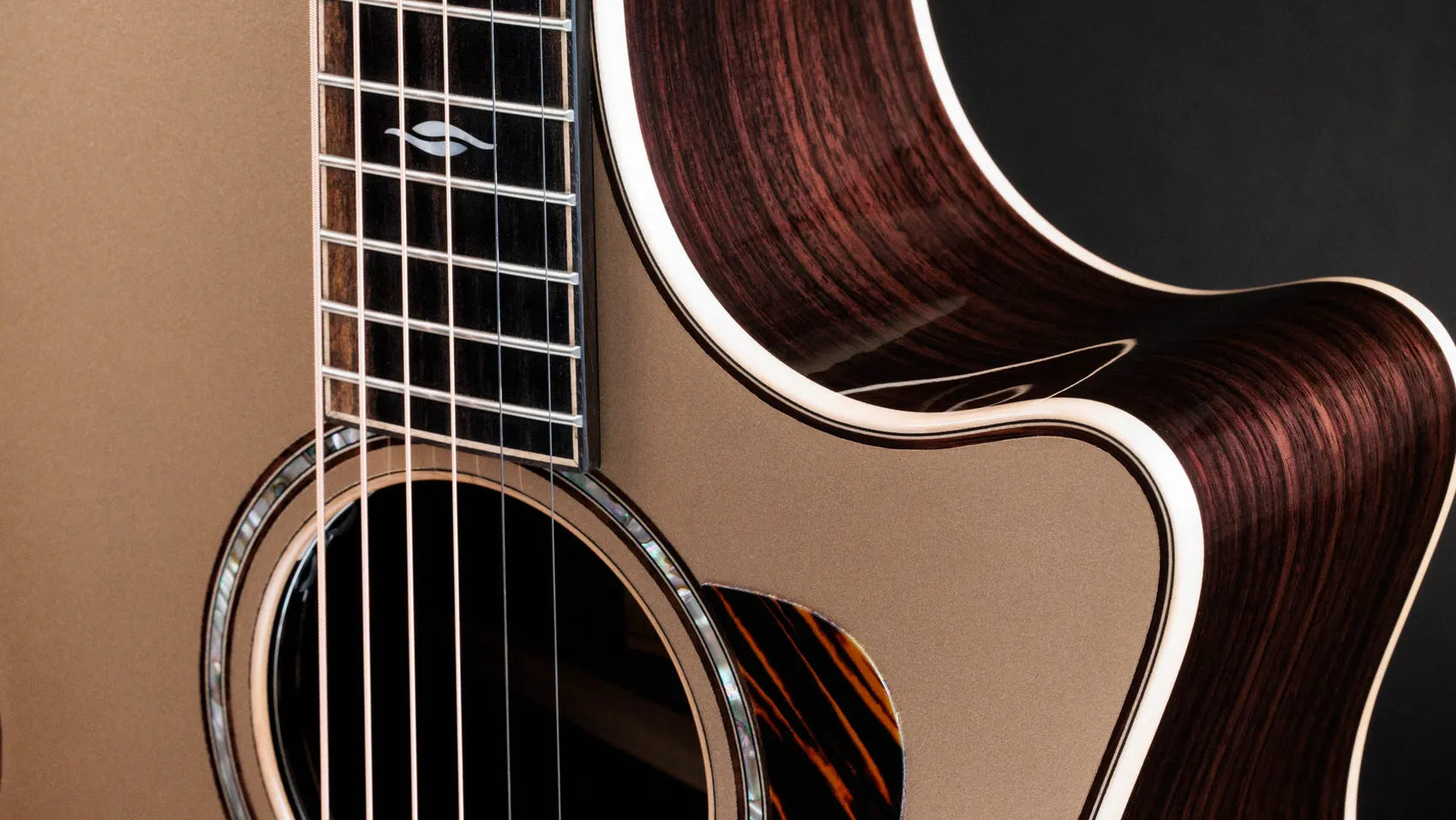Đàn Guitar Acoustic Taylor Next Generation 814CE LTD - Việt Music