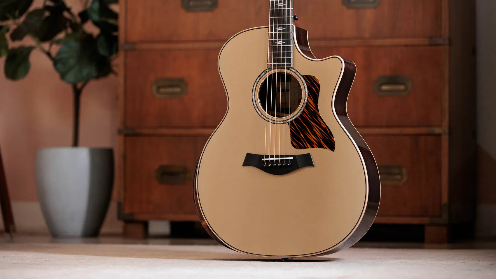 Đàn Guitar Acoustic Taylor Next Generation 814CE LTD - Việt Music