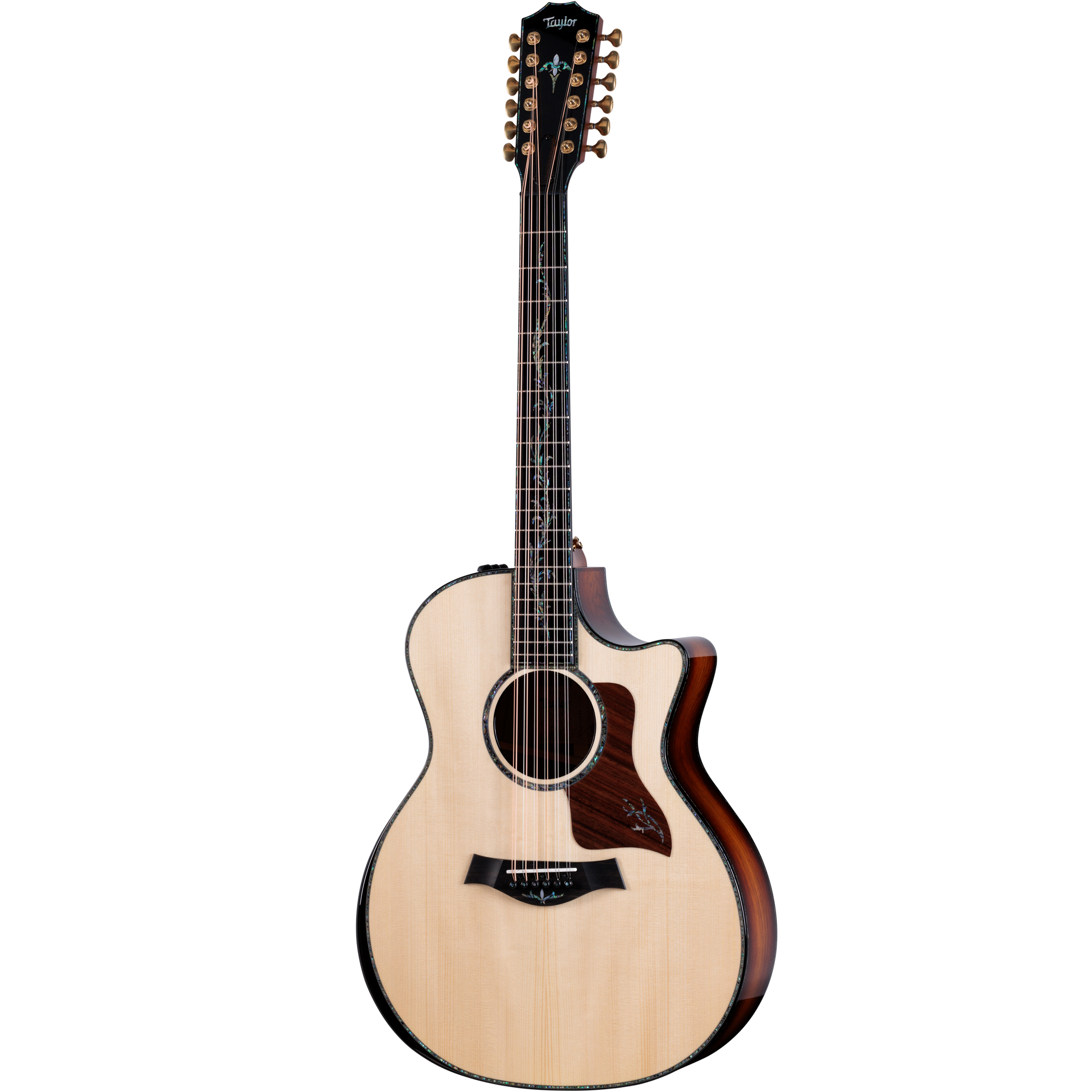Đàn Guitar Acoustic Taylor PS54CE - 12 Strings - Việt Music