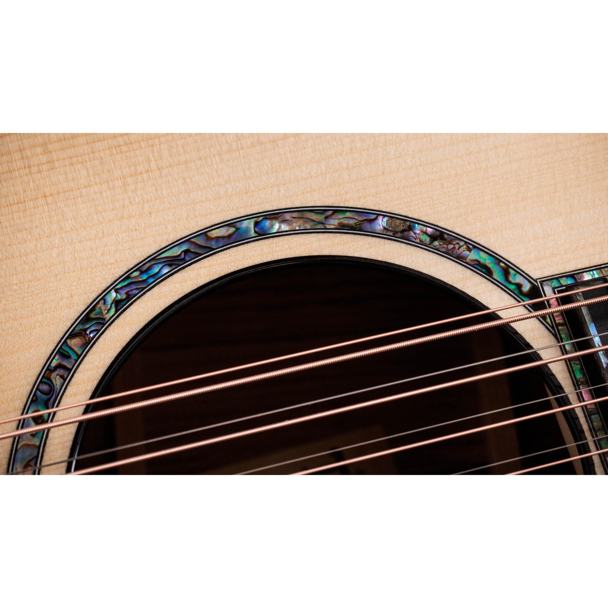 Đàn Guitar Acoustic Taylor PS54CE - 12 Strings - Việt Music
