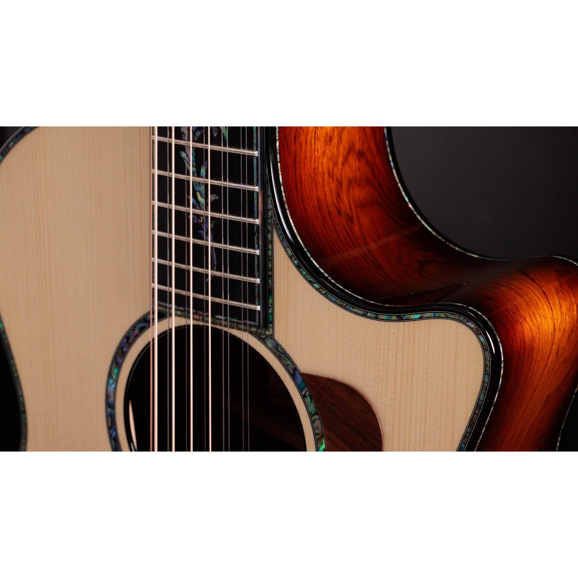 Đàn Guitar Acoustic Taylor PS54CE - 12 Strings - Việt Music