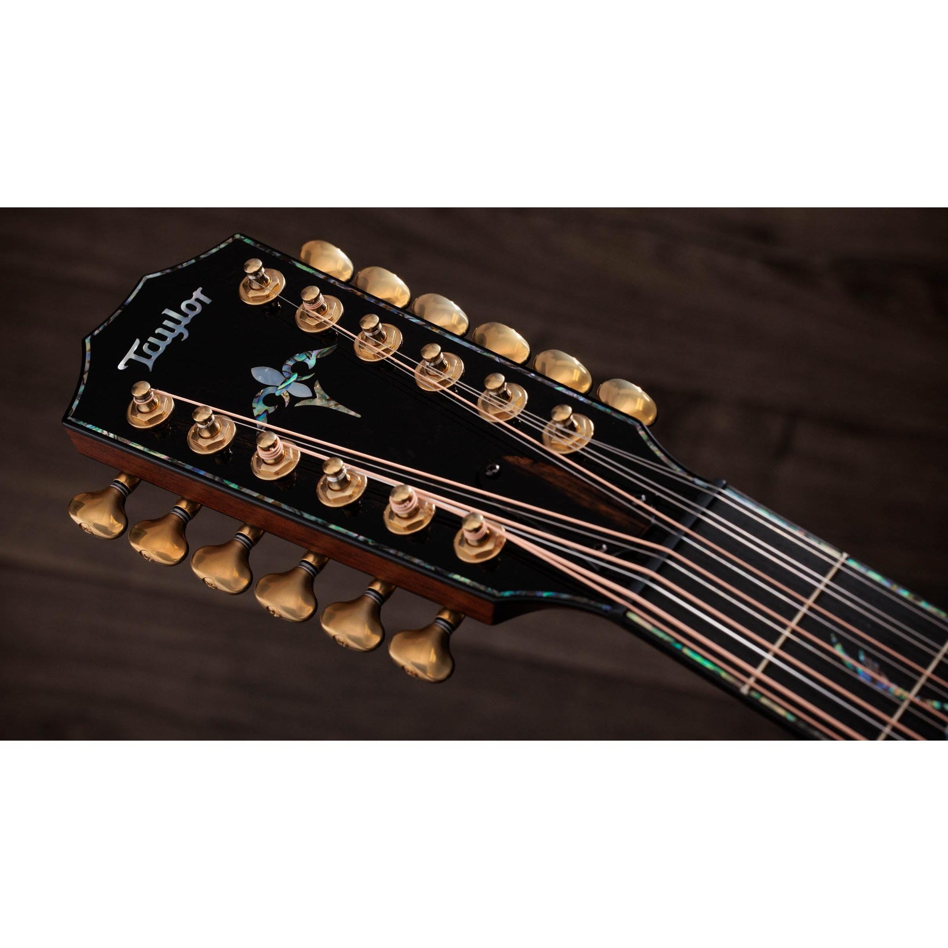 Đàn Guitar Acoustic Taylor PS54CE - 12 Strings - Việt Music