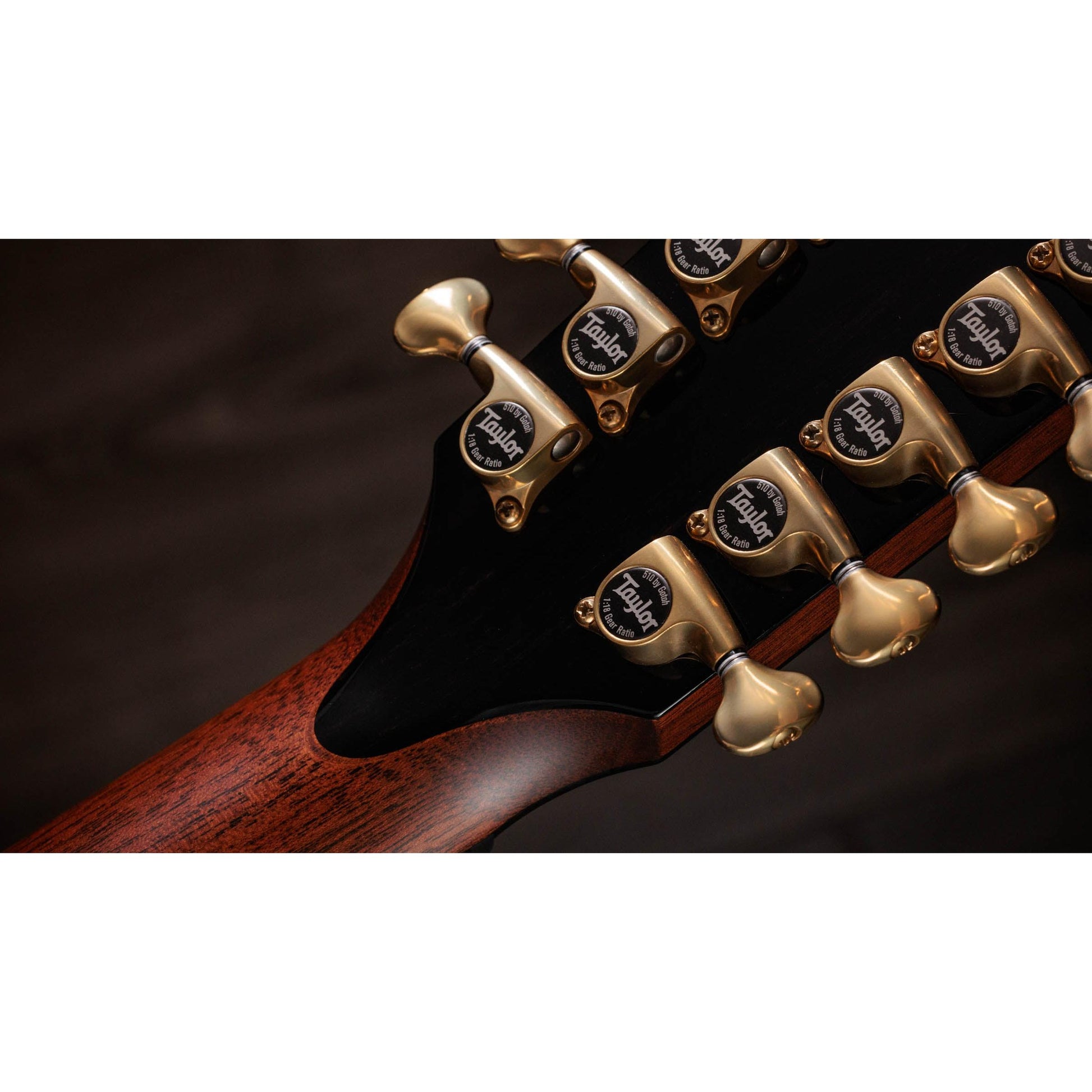 Đàn Guitar Acoustic Taylor PS54CE - 12 Strings - Việt Music