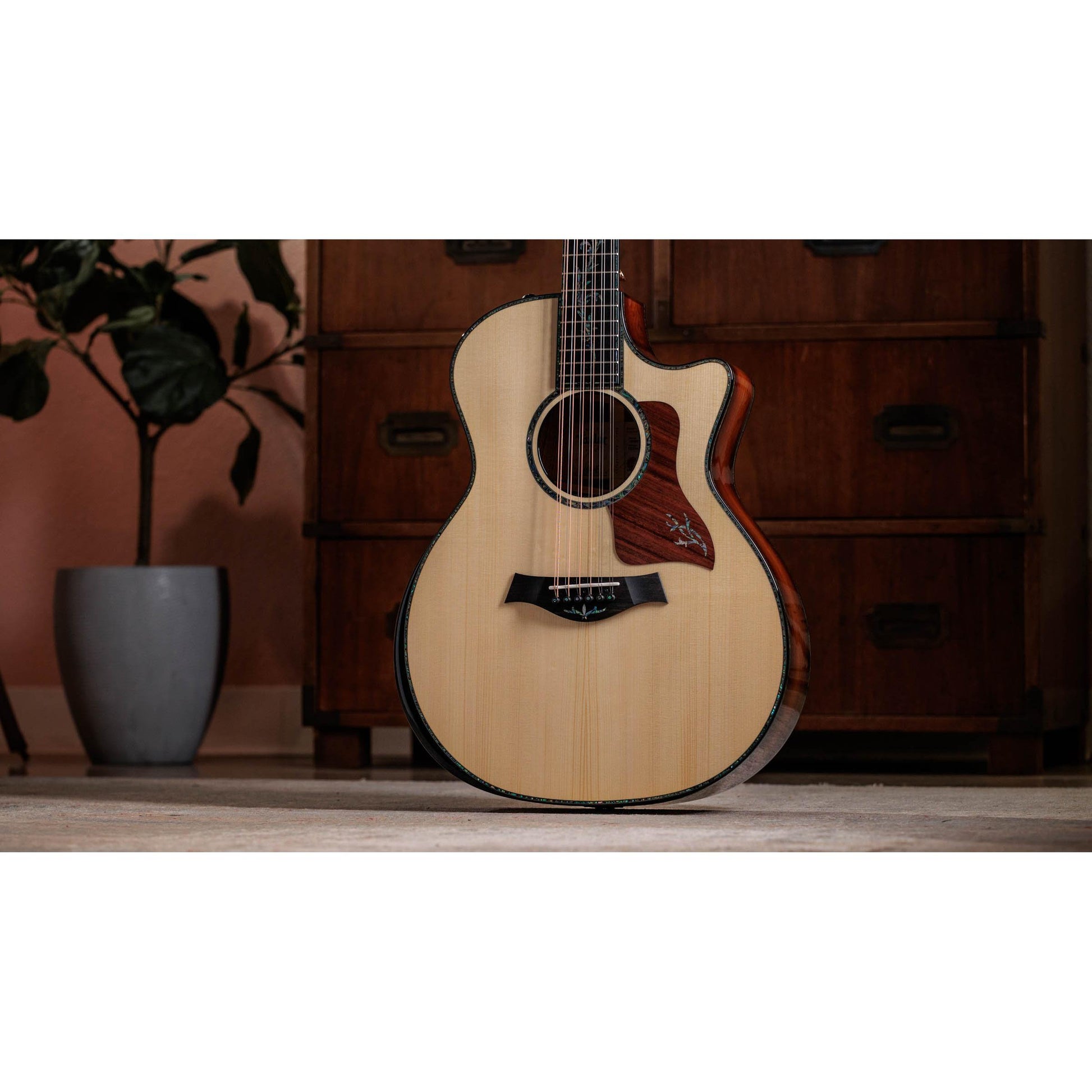 Đàn Guitar Acoustic Taylor PS54CE - 12 Strings - Việt Music