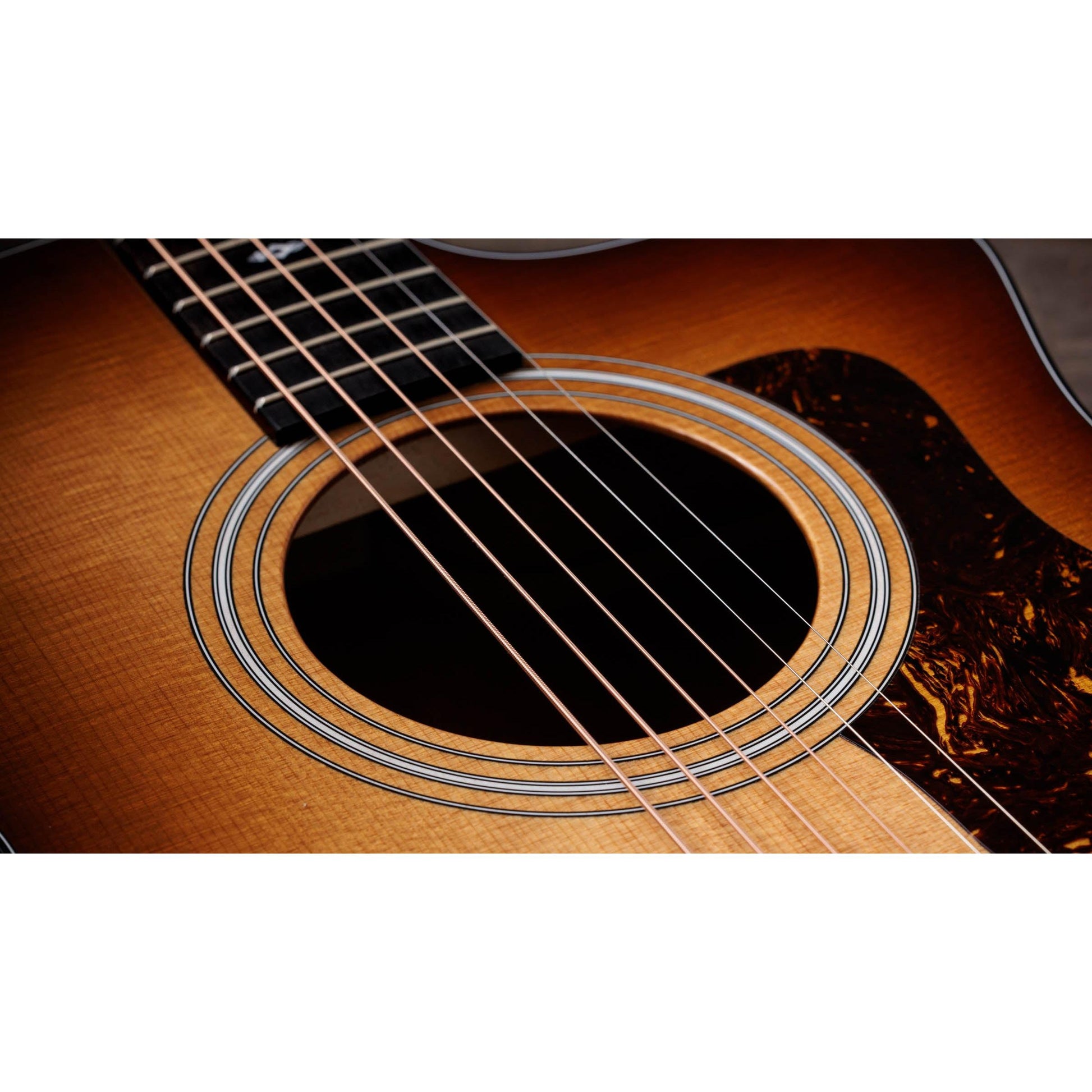 Đàn Guitar Acoustic Taylor Sunset Blvd 114CE - Việt Music