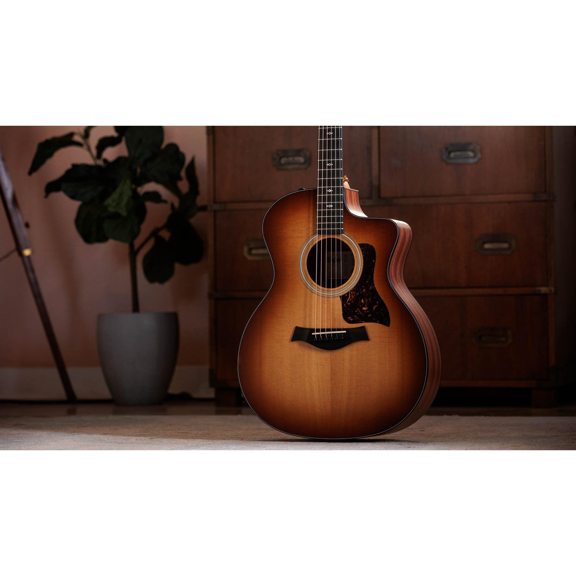 Đàn Guitar Acoustic Taylor Sunset Blvd 114CE - Việt Music