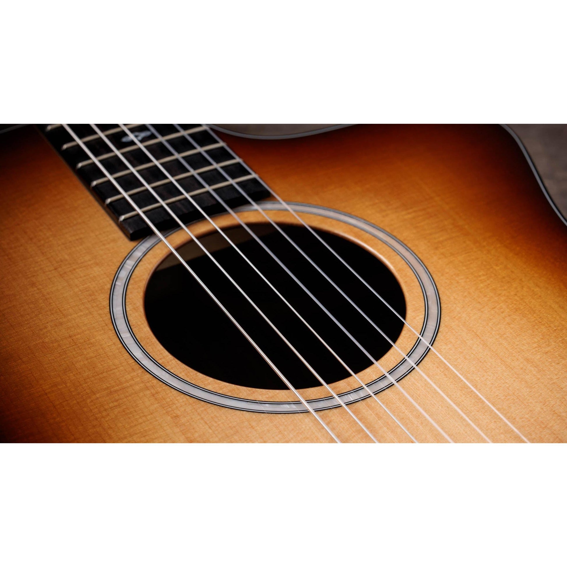 Đàn Guitar Classic Taylor Sunset Blvd 214ce-N Plus - Việt Music