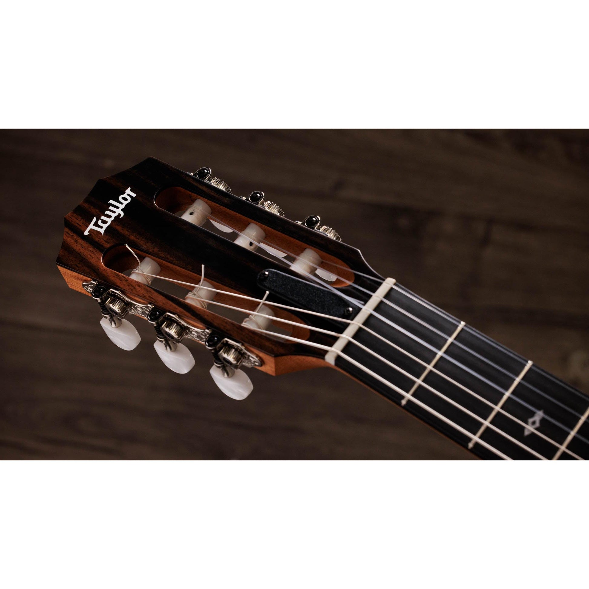 Đàn Guitar Classic Taylor Sunset Blvd 214ce-N Plus - Việt Music