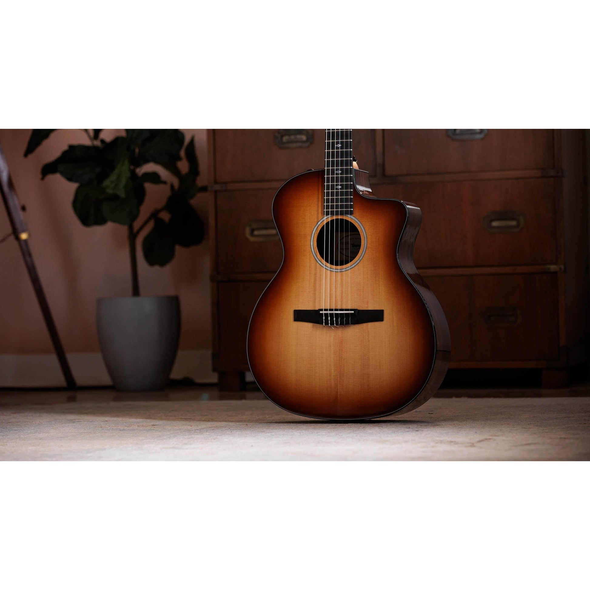 Đàn Guitar Classic Taylor Sunset Blvd 214ce-N Plus - Việt Music