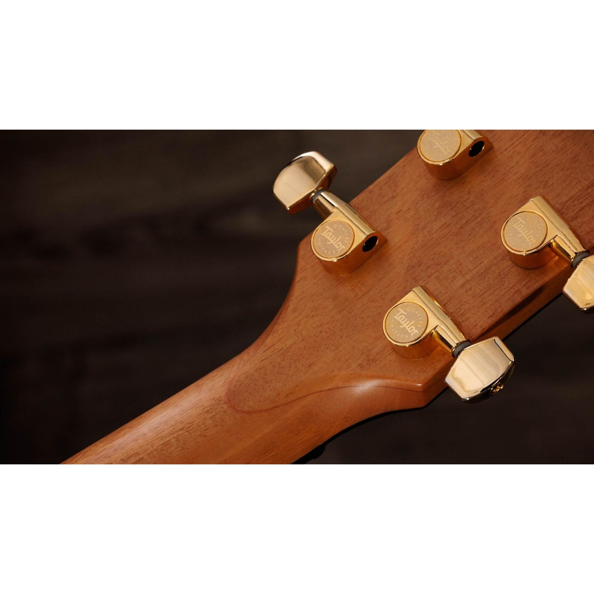 Đàn Guitar Acoustic Taylor 714CE - Việt Music