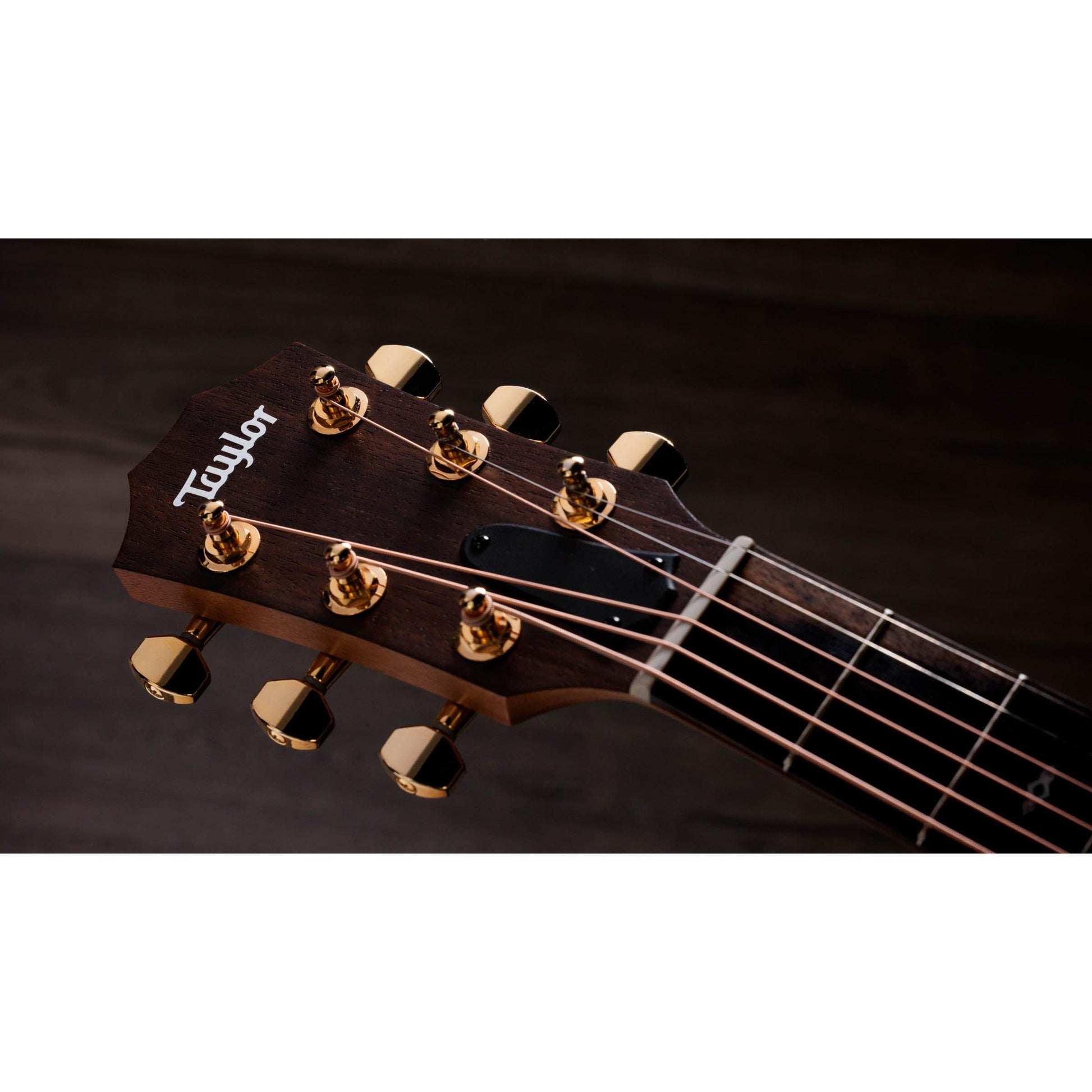 Đàn Guitar Acoustic Taylor GS Mini-E Rosewood - Việt Music