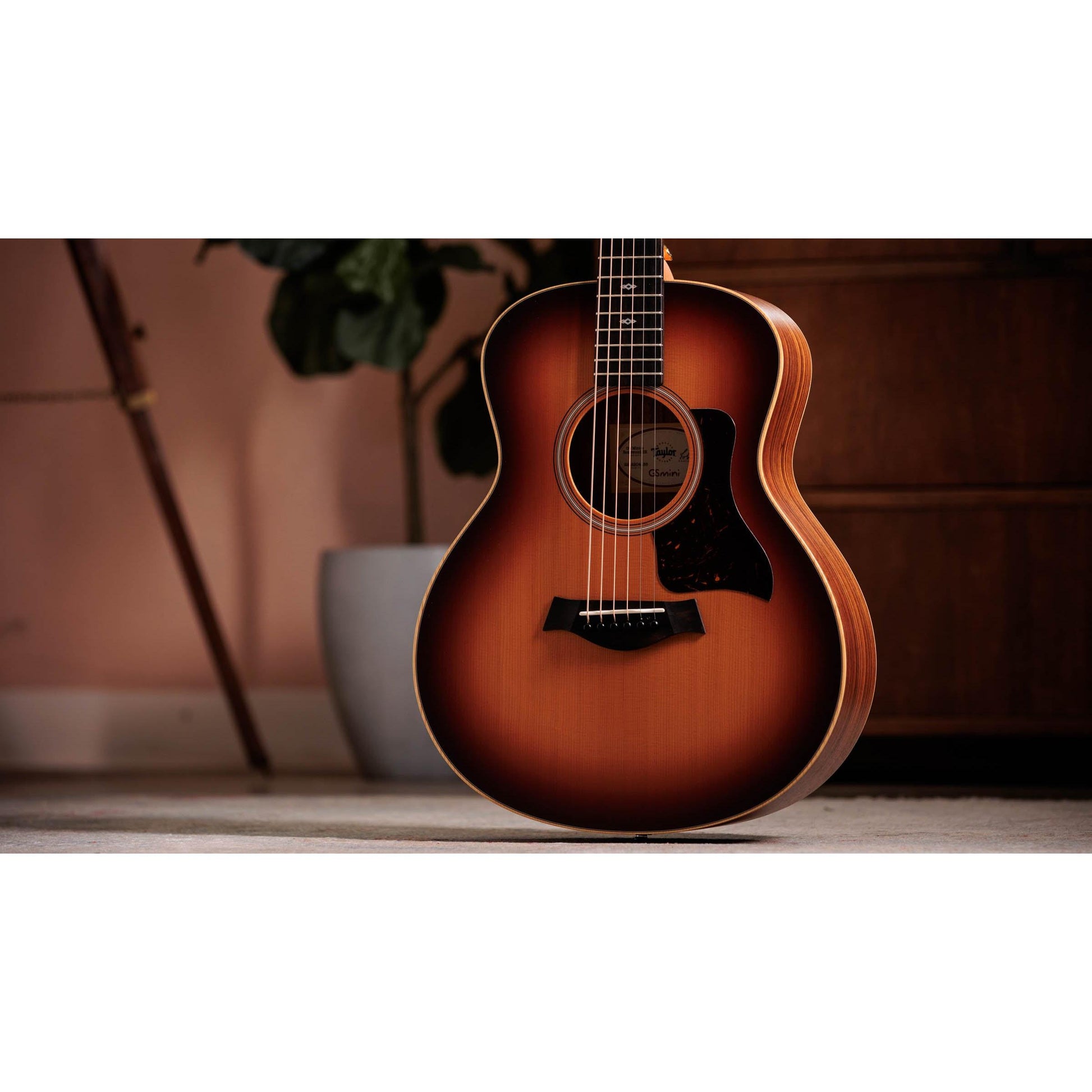 Đàn Guitar Acoustic Taylor GS Mini-E Rosewood - Việt Music