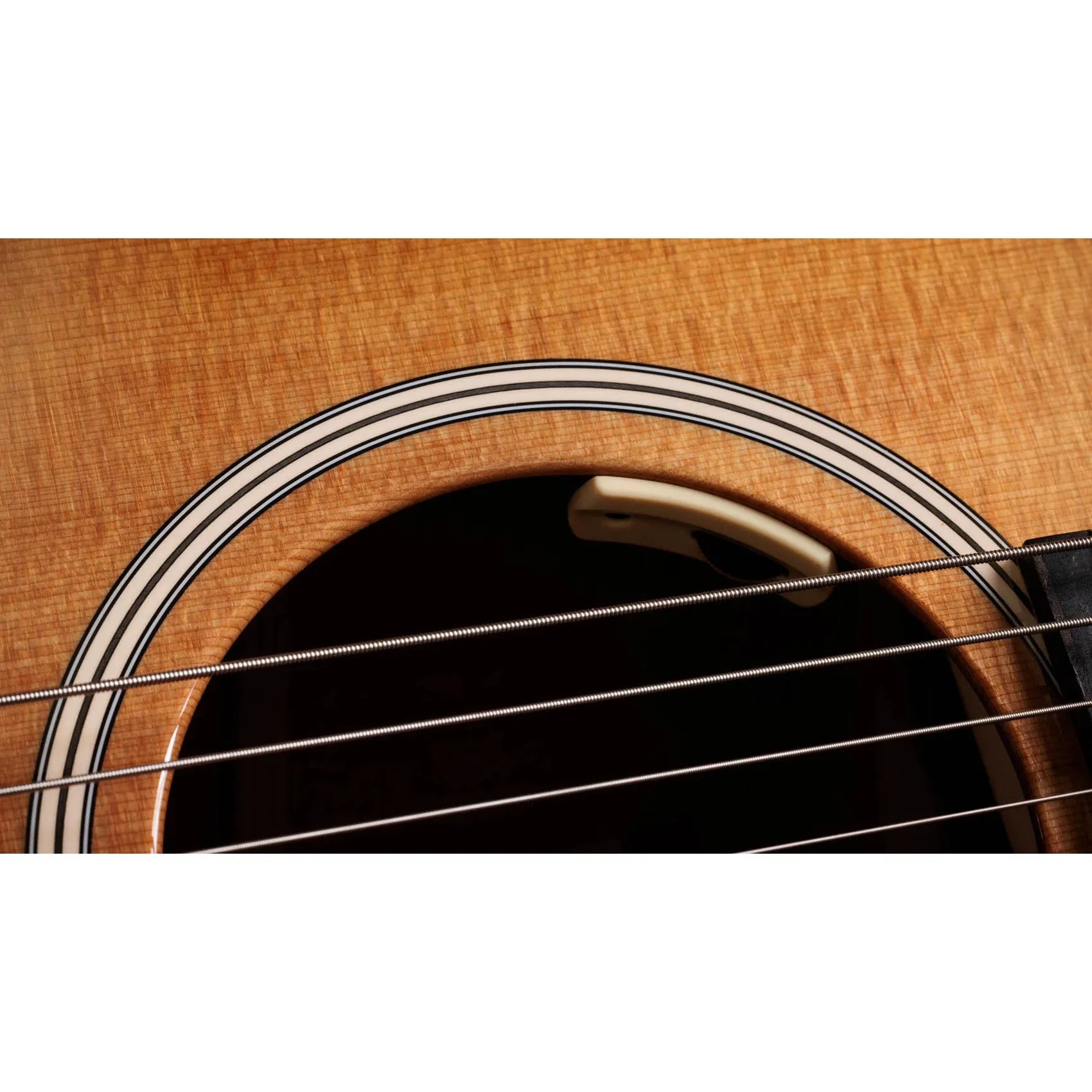 Đàn Guitar Acoustic Taylor 510e Trey Hensley Gold Label Special Edition - Việt Music